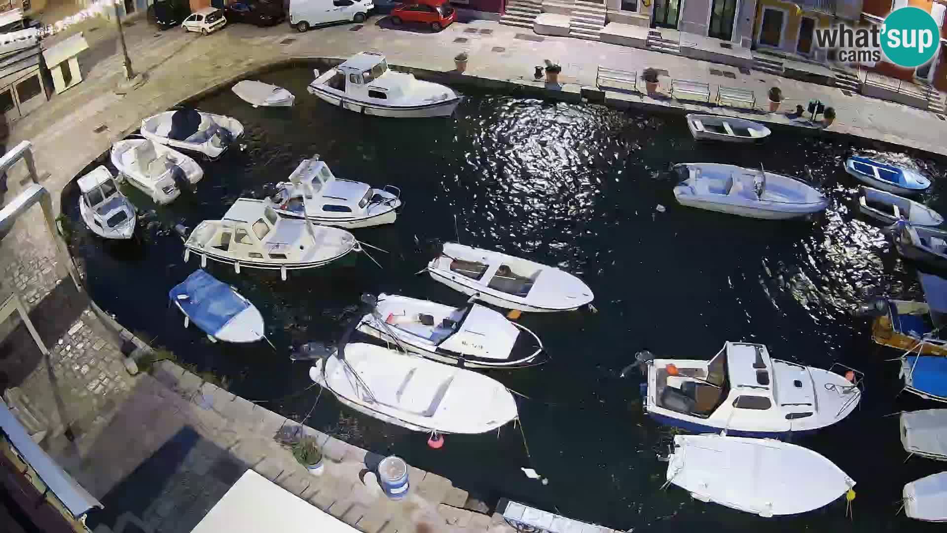 Veli Lošinj livecam – Carre