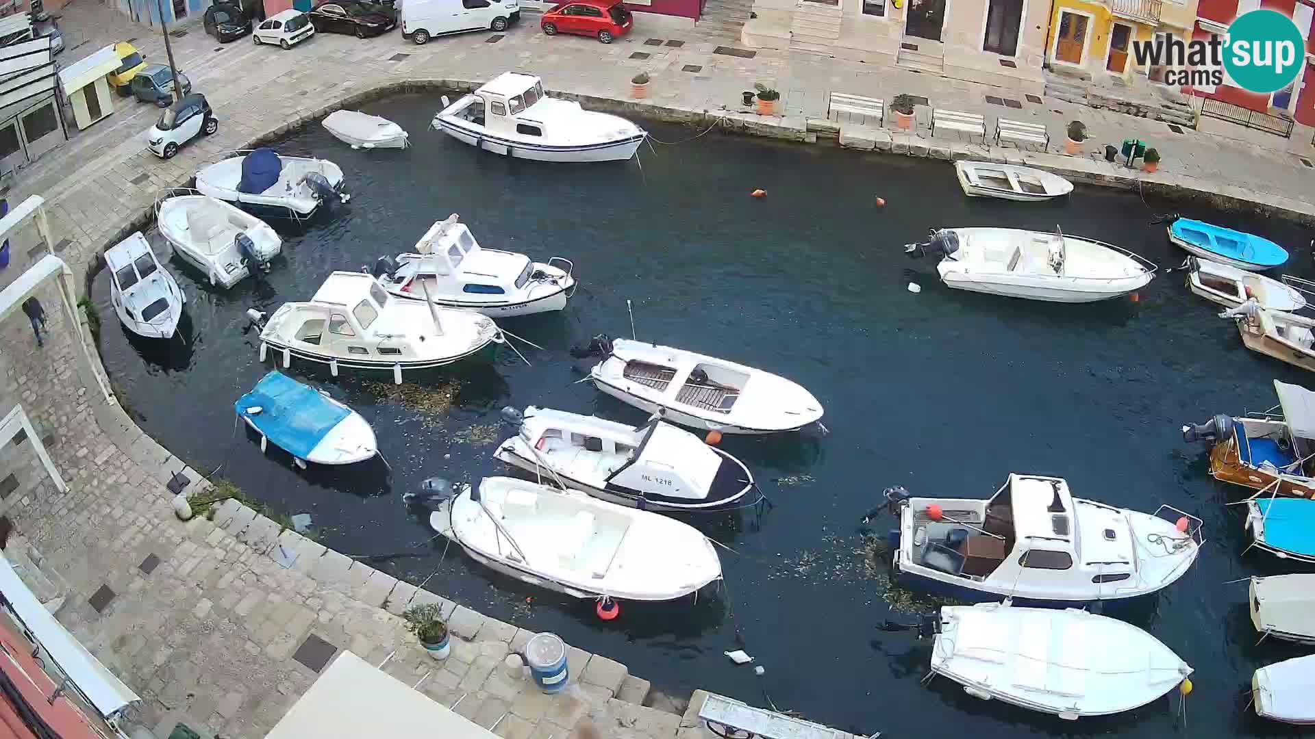 Veli Lošinj livecam – Carre