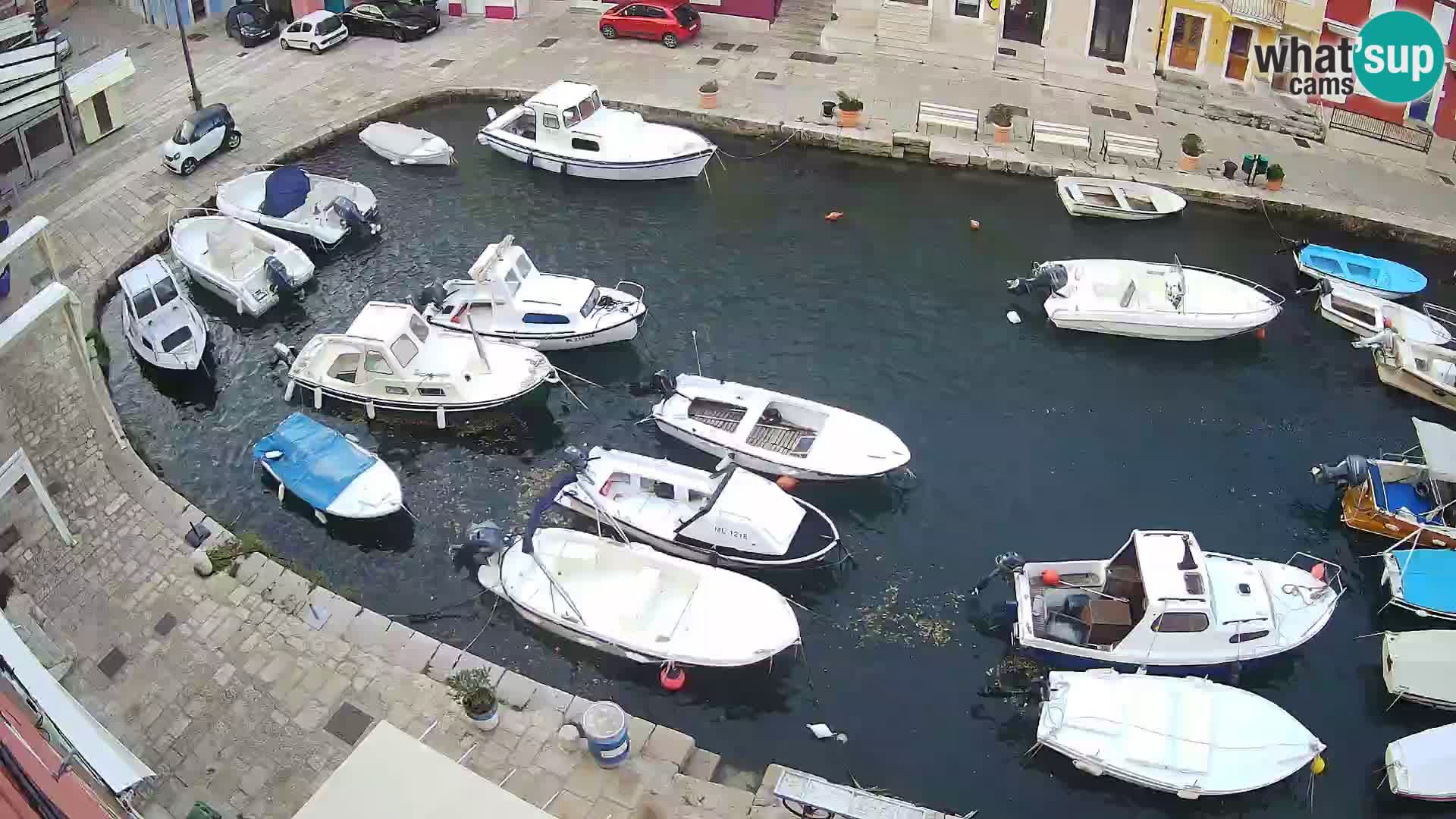 Veli Lošinj camera en vivo – plaza