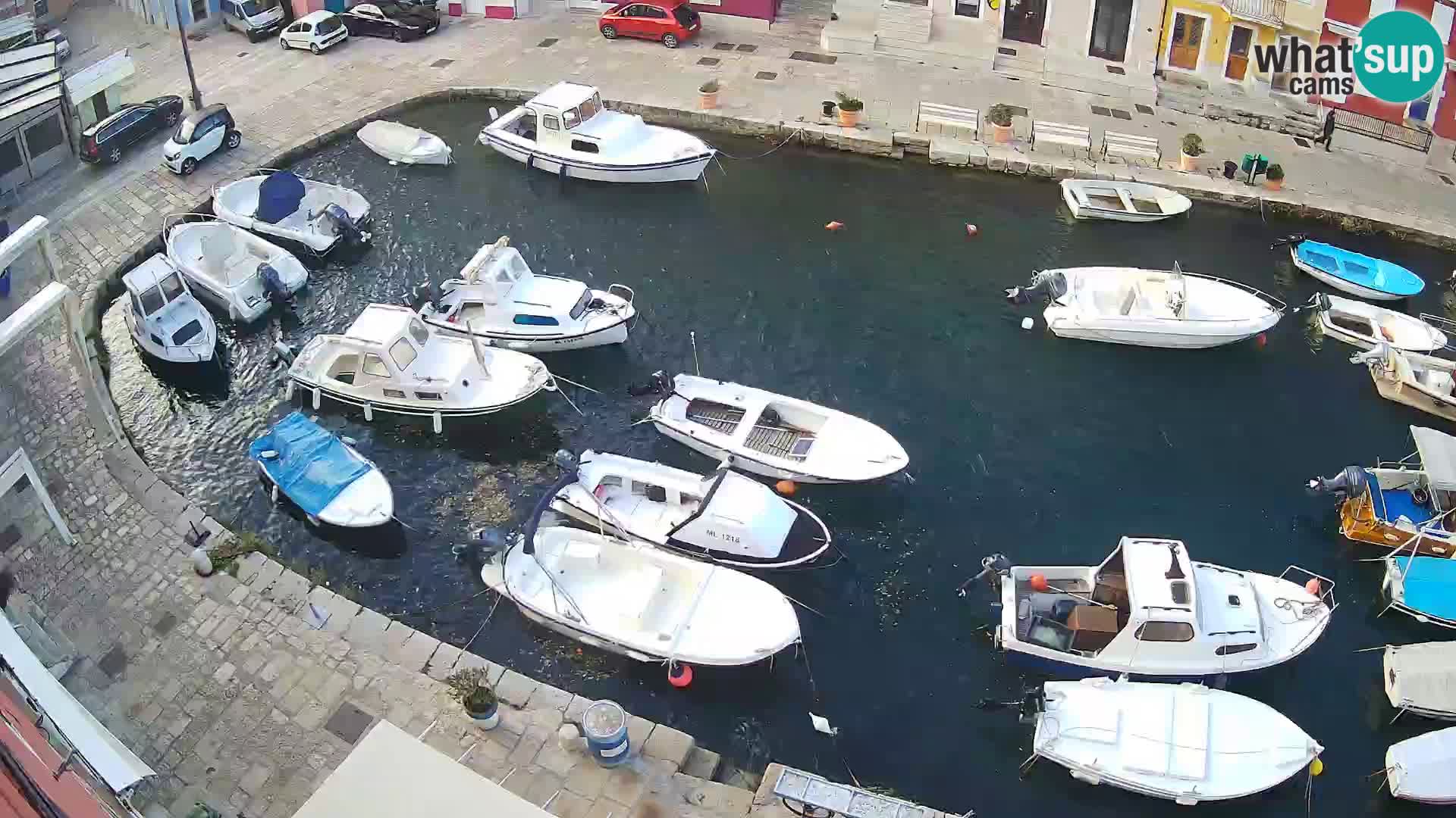 Veli Lošinj livecam – Carre