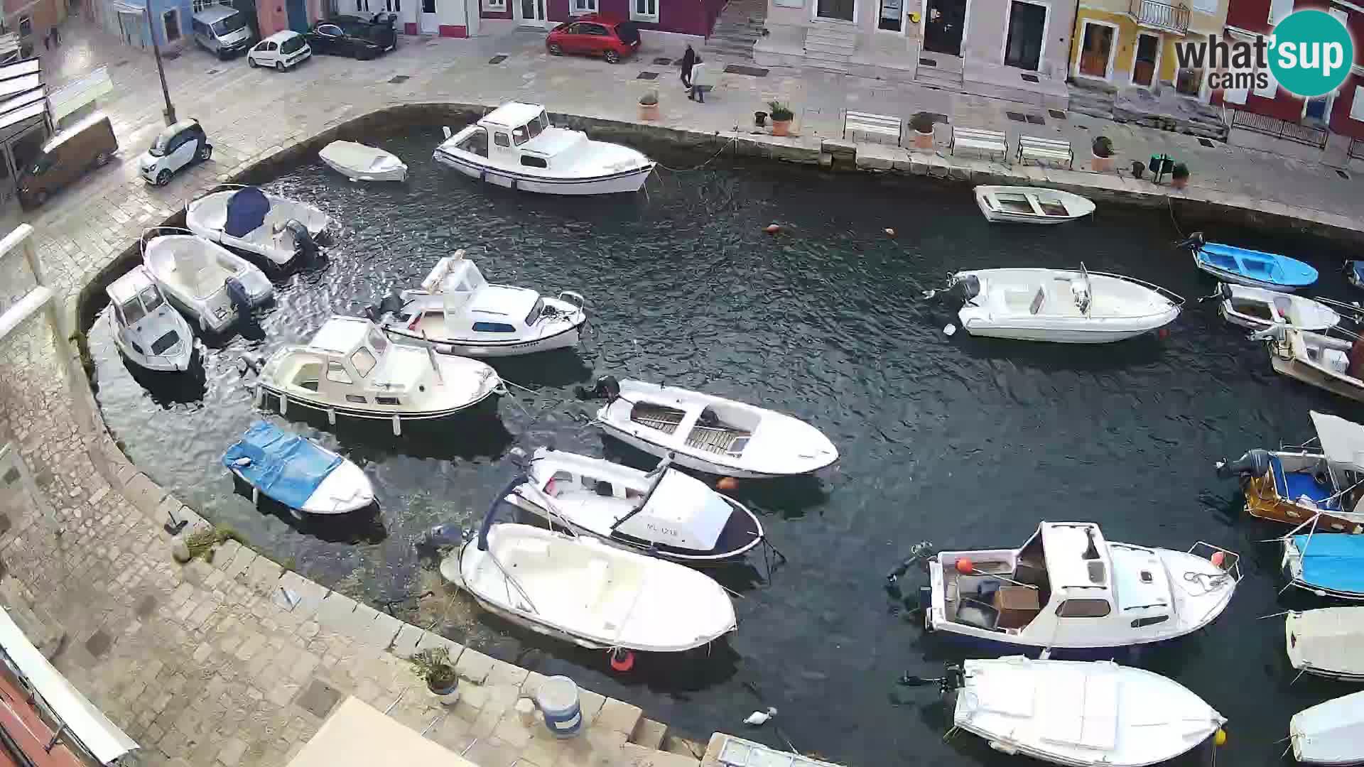 Veli Lošinj camera en vivo – plaza
