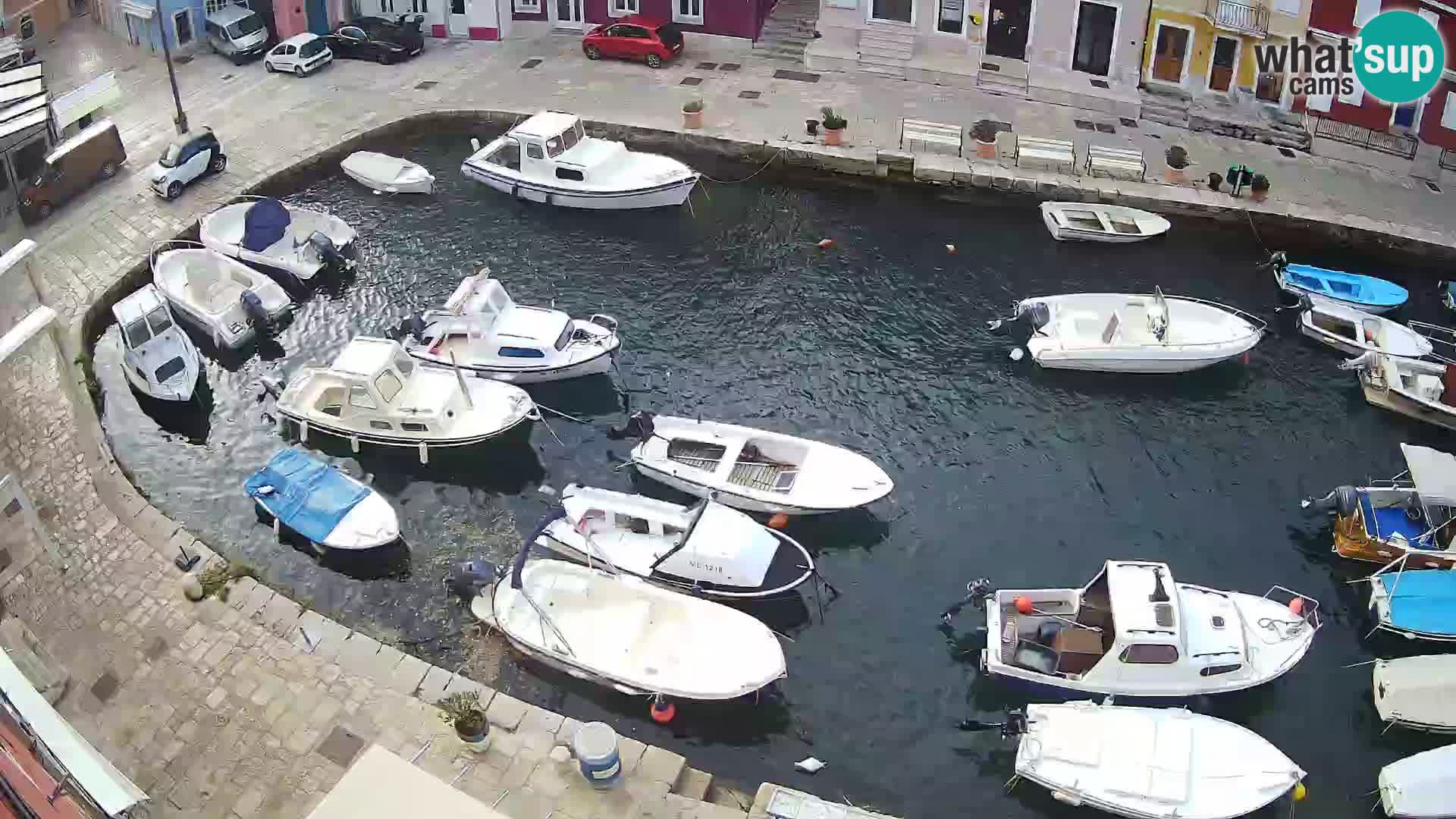 Veli Lošinj livecam – Carre