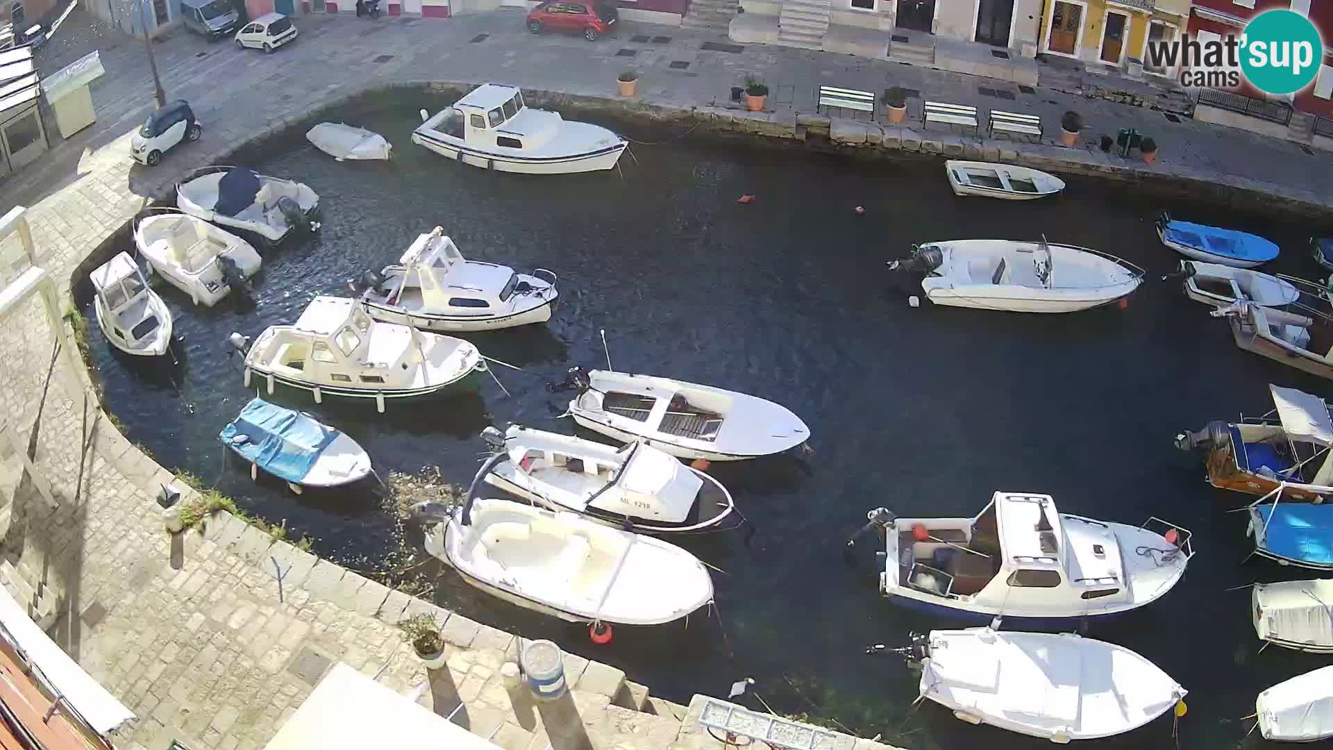 Veli Lošinj livecam – Carre