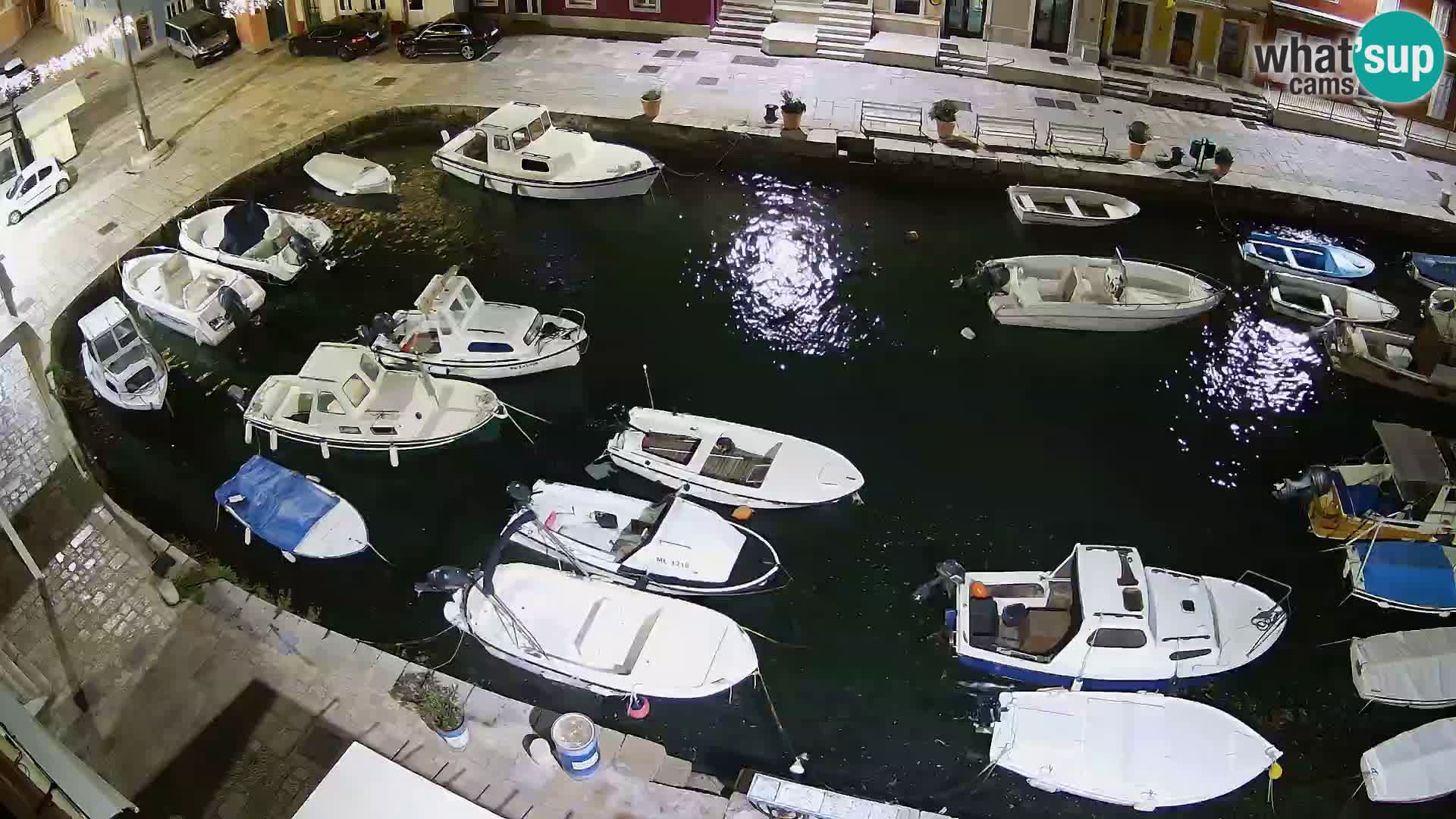 Veli Lošinj livecam – Carre