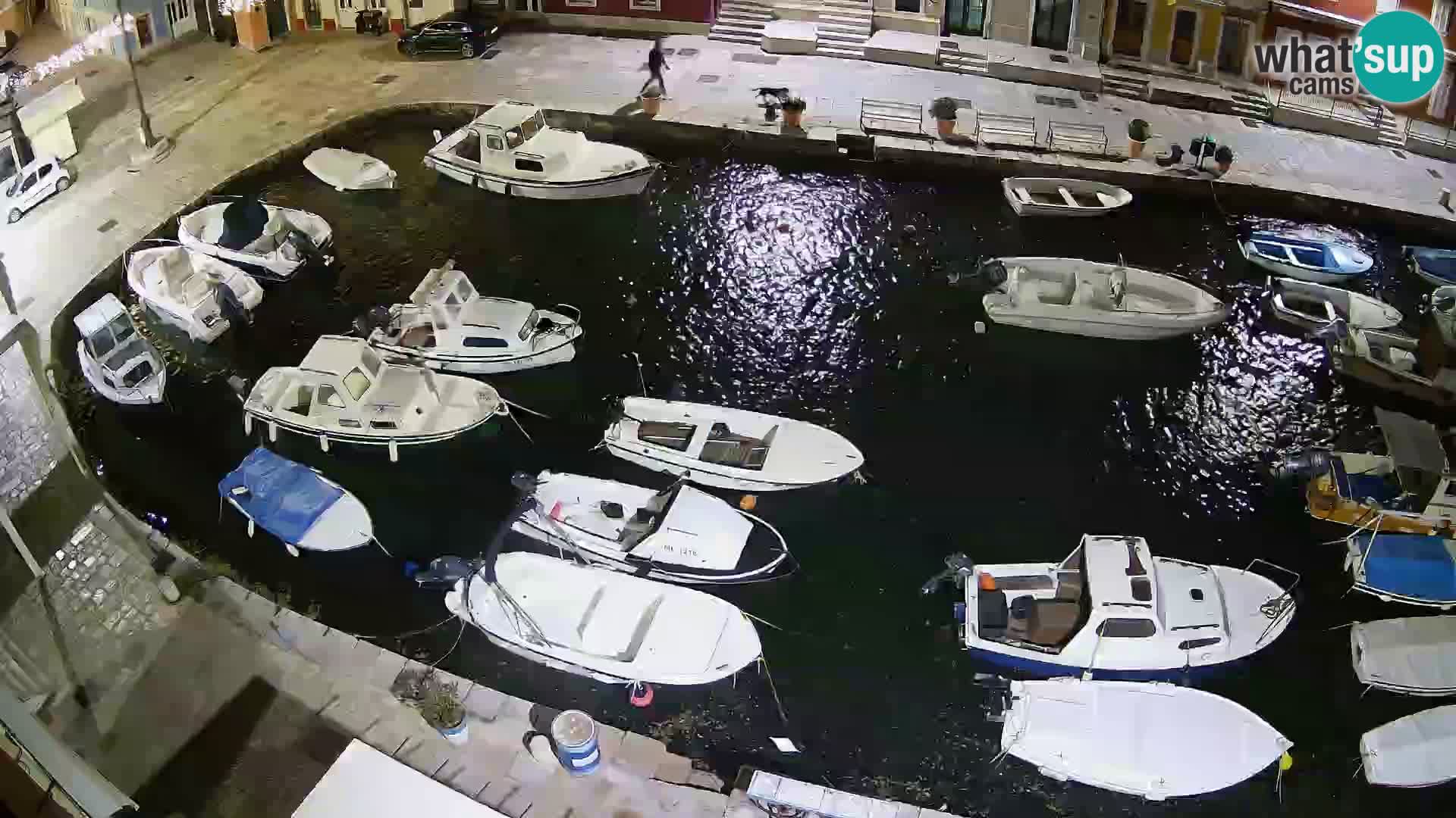 Veli Lošinj livecam – Carre