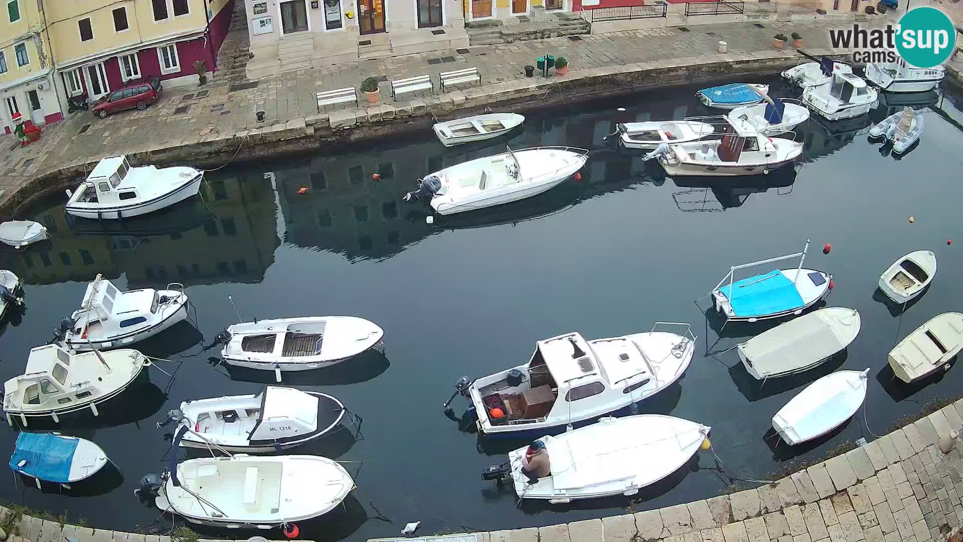 Veli Lošinj livecam – Carre