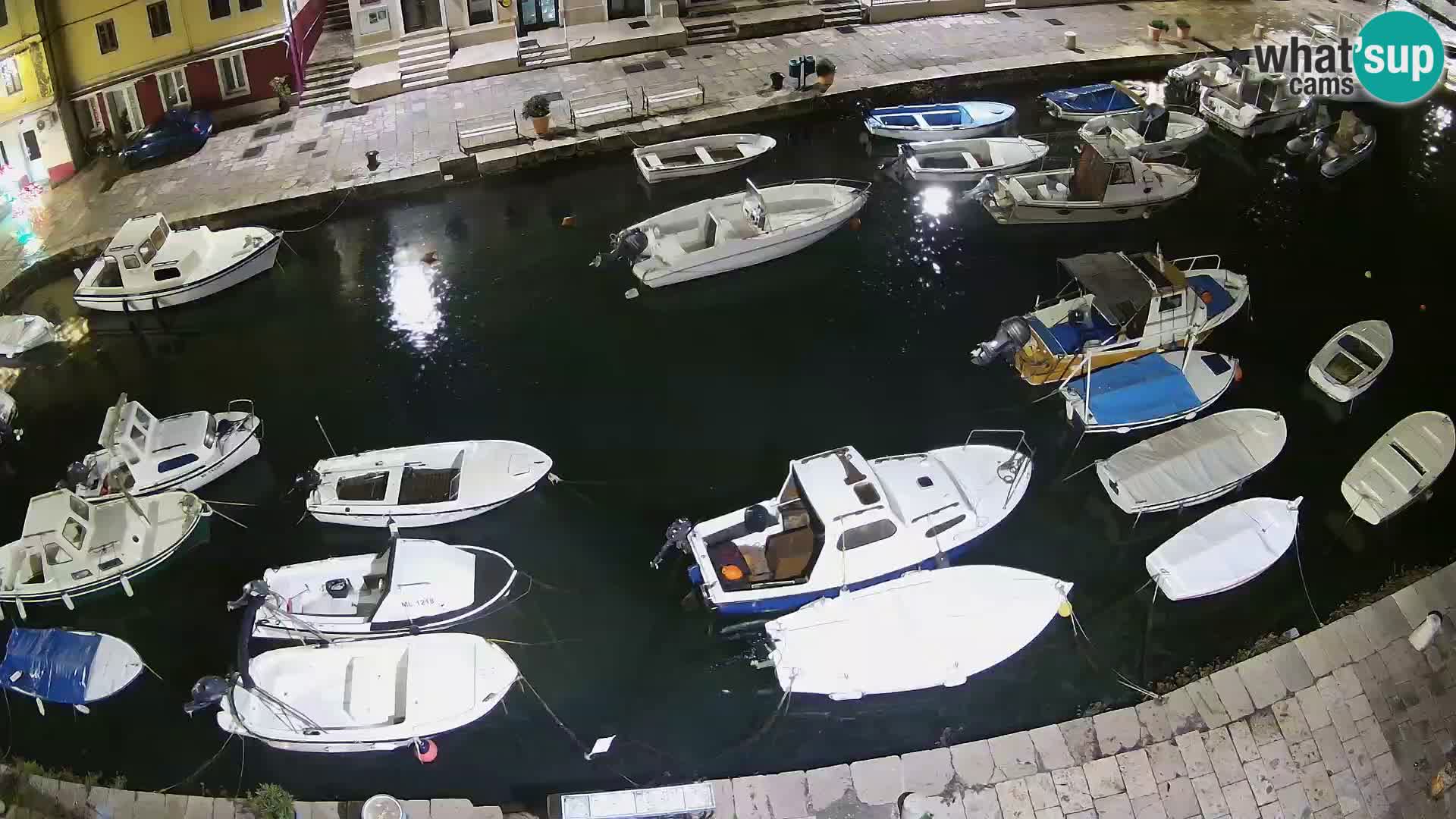 Veli Lošinj livecam – Carre