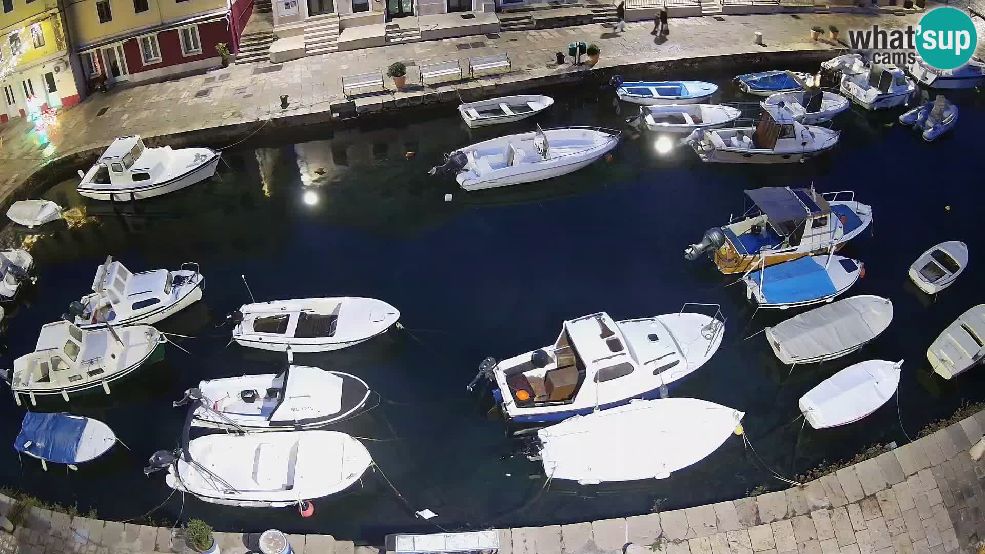 Veli Lošinj livecam – Carre