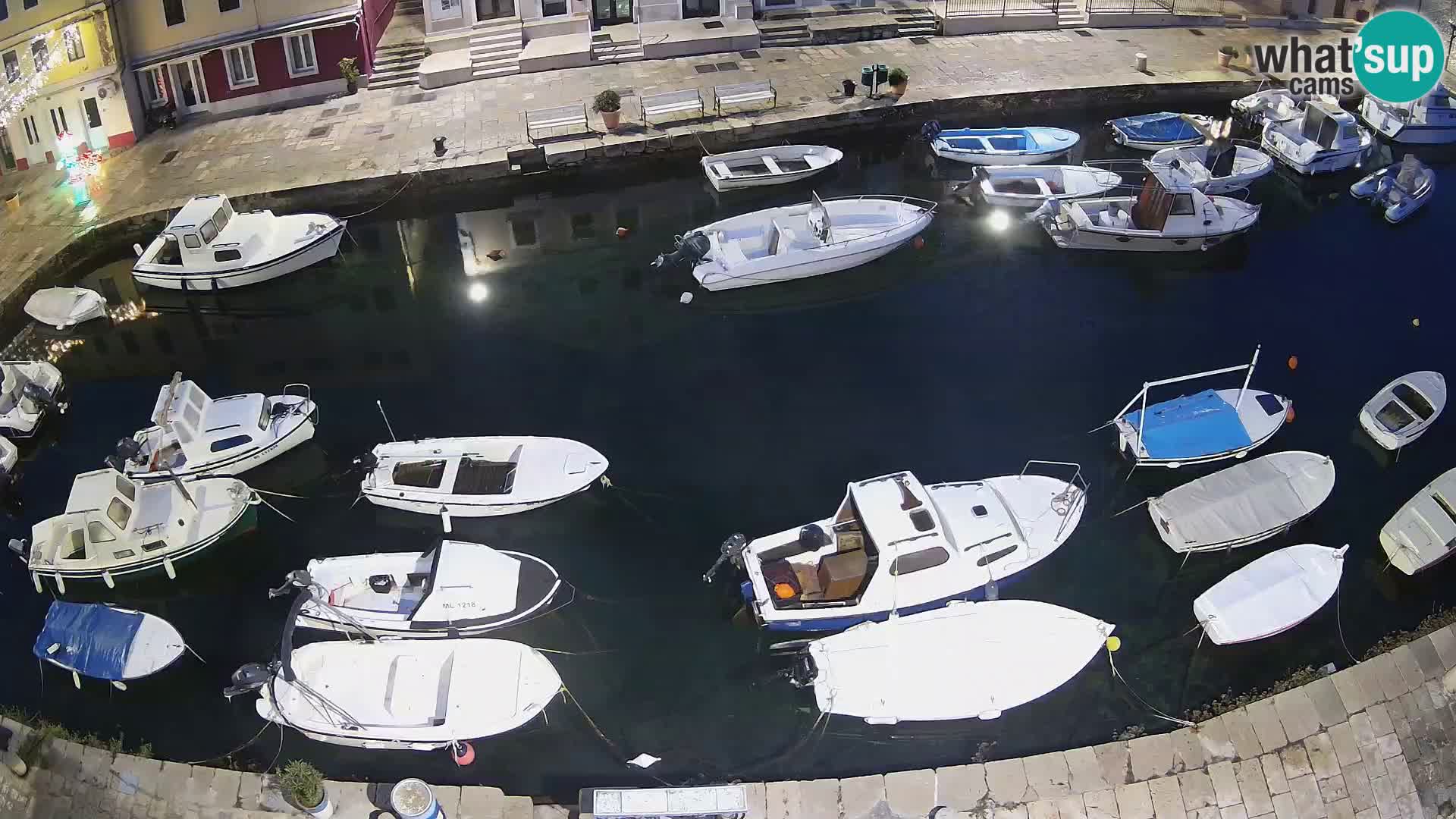 Veli Lošinj livecam – Carre