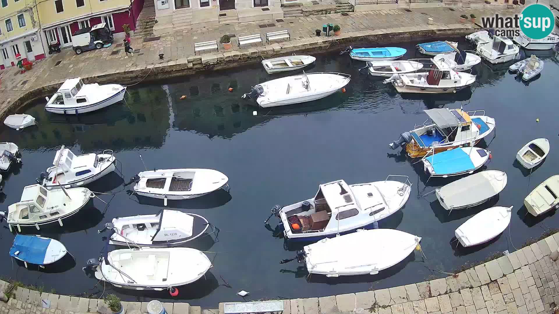 Veli Lošinj livecam – Carre