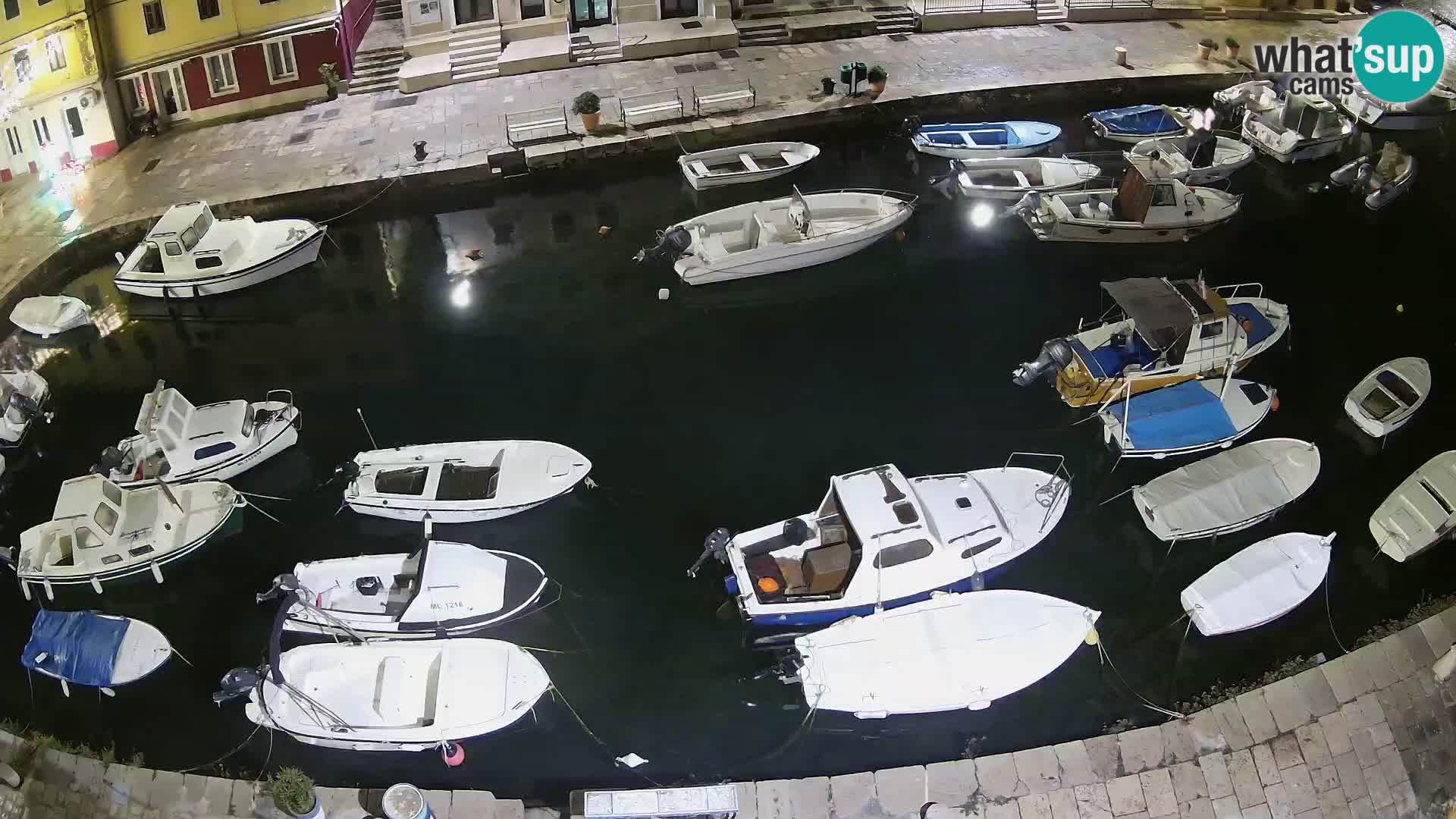 Veli Lošinj livecam – Carre