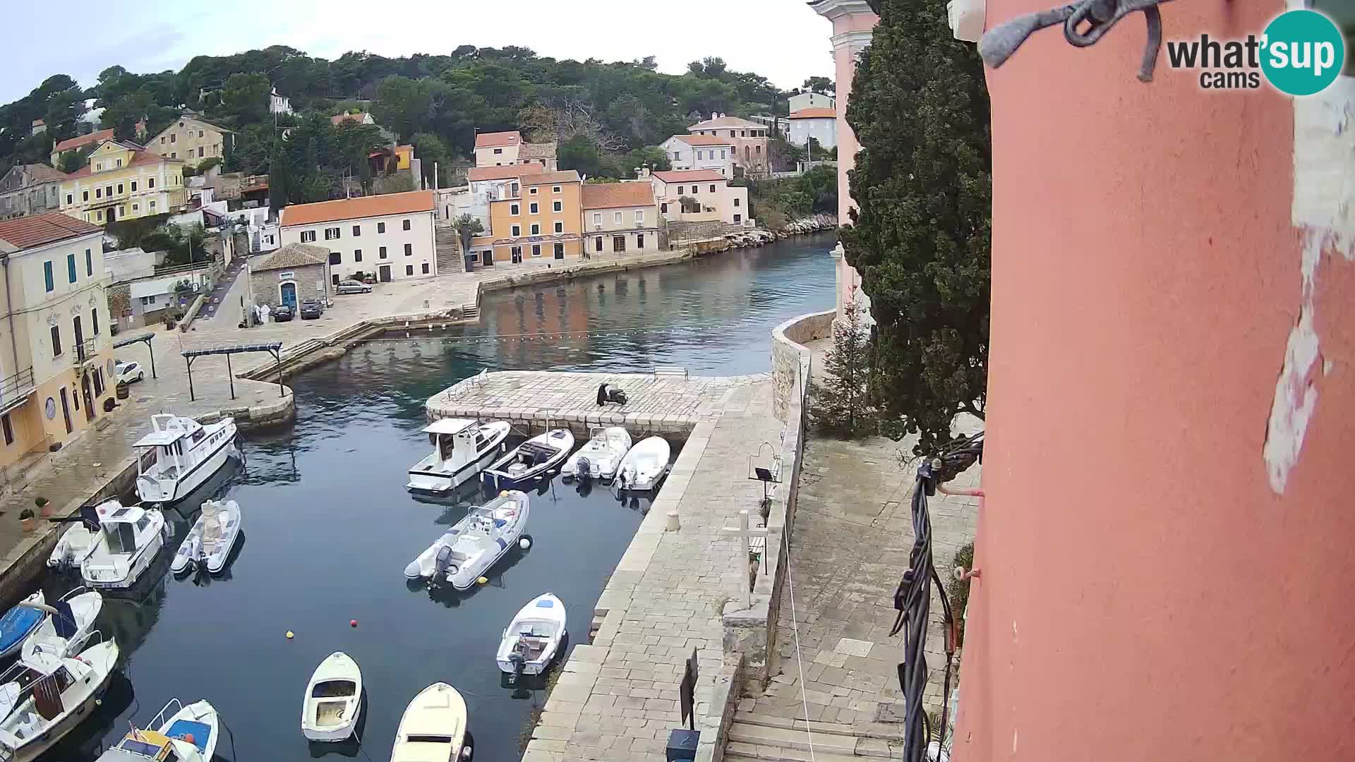 Veli Lošinj livecam – Carre