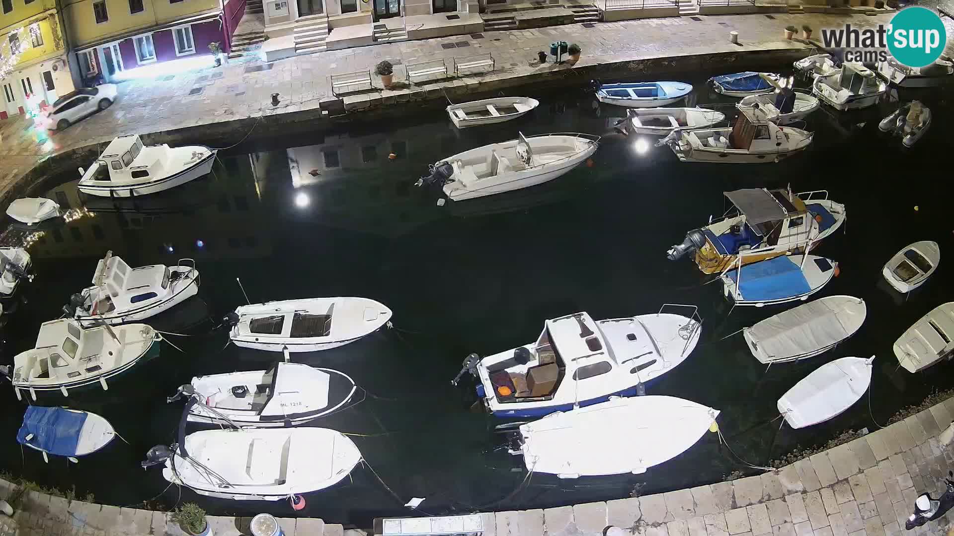 Veli Lošinj livecam – Carre