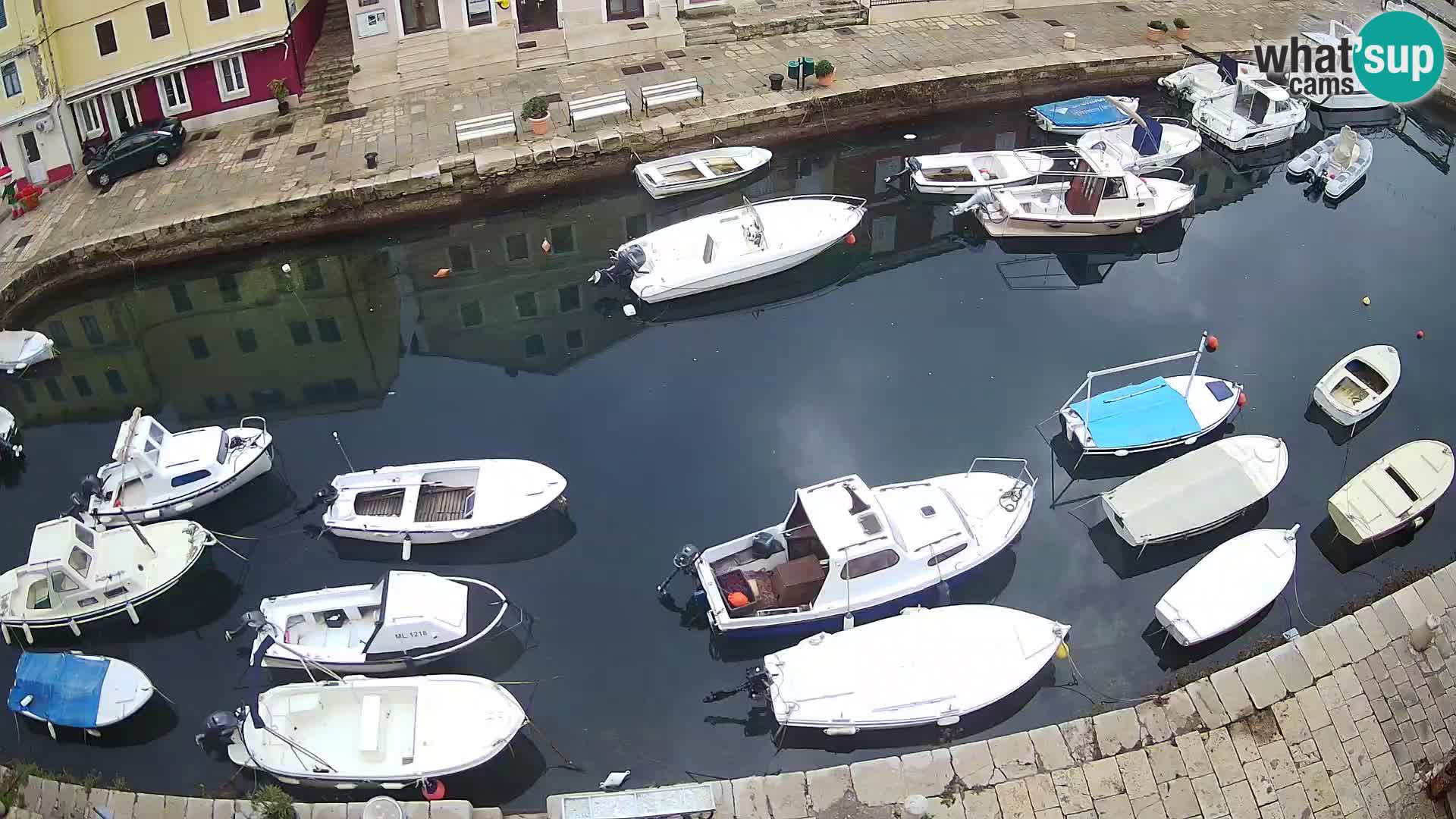 Veli Lošinj livecam – Carre