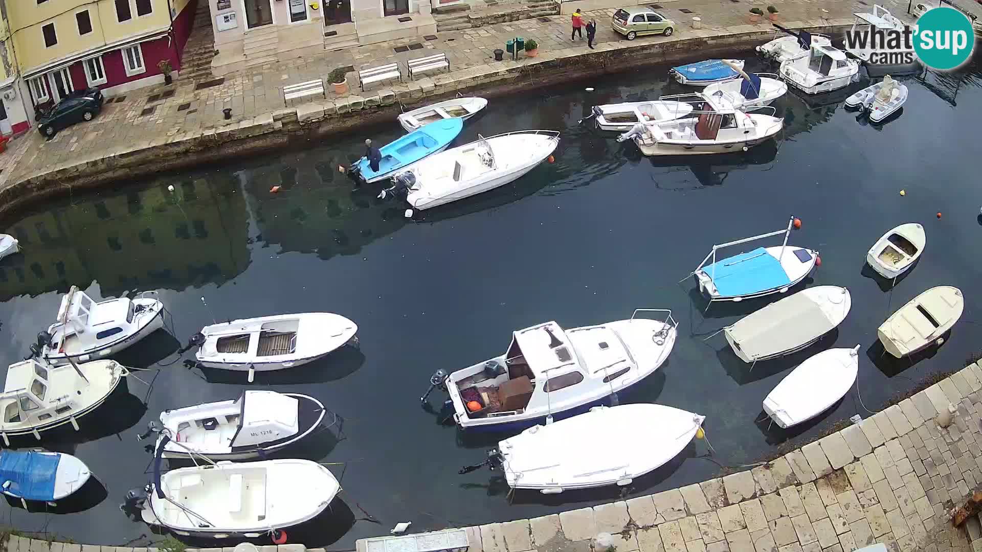 Veli Lošinj livecam – Carre