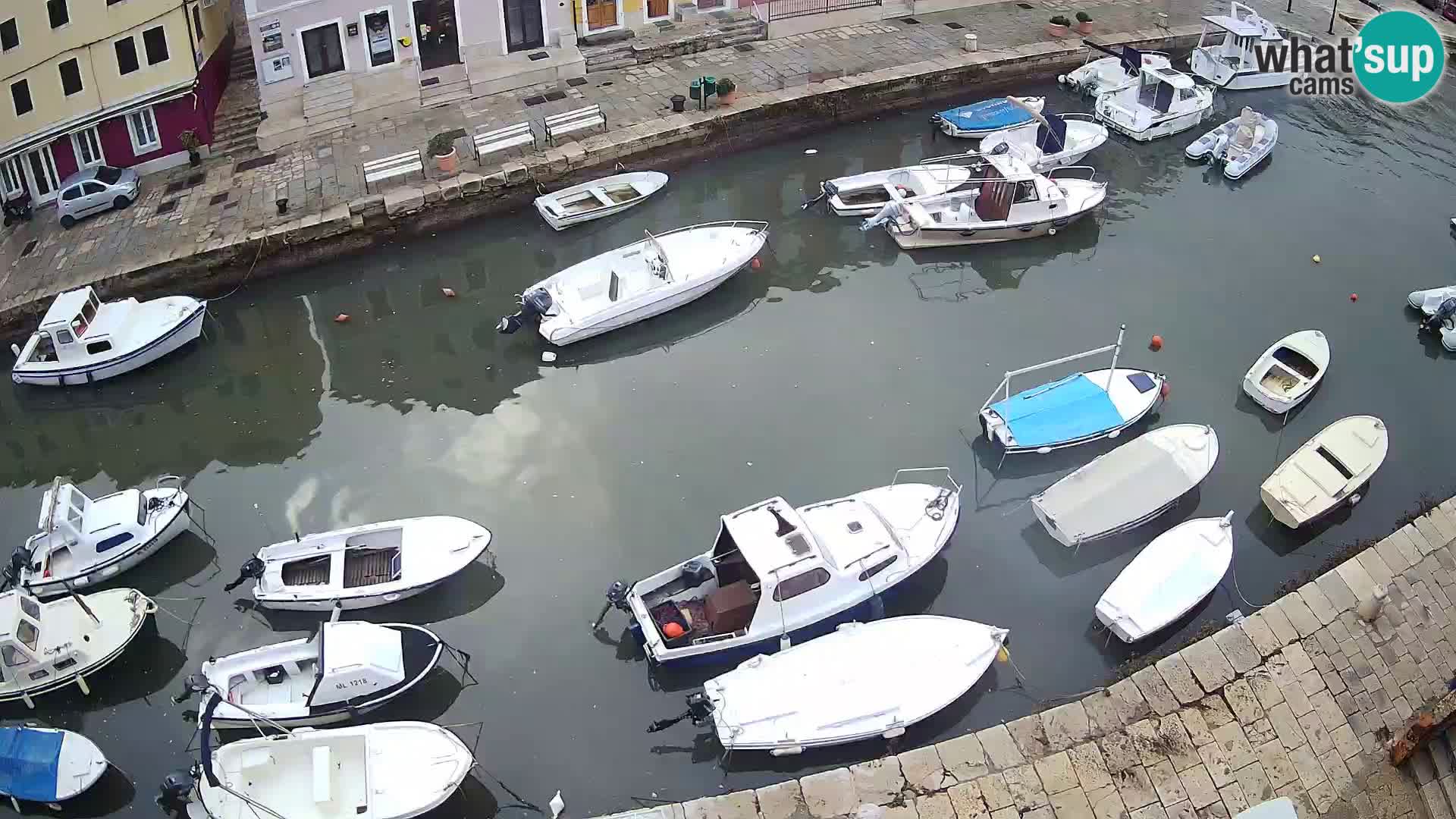 Veli Lošinj spletna kamera – trg