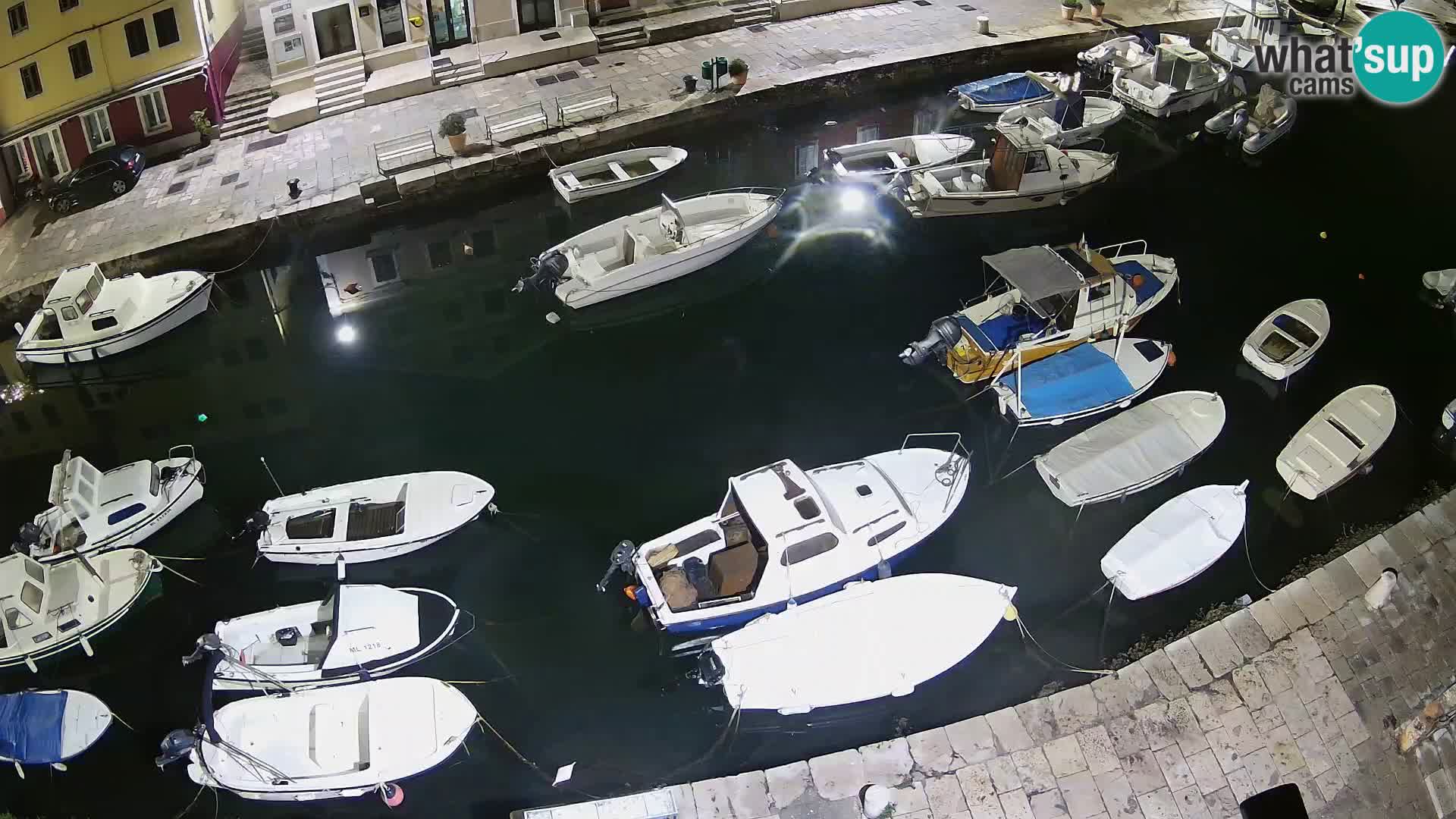 Veli Lošinj livecam – Carre