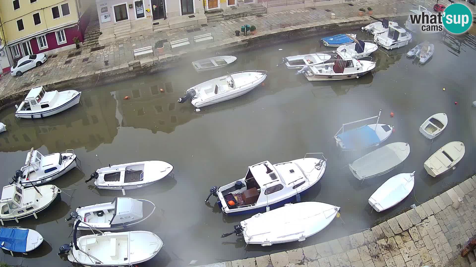 Veli Lošinj livecam – Carre