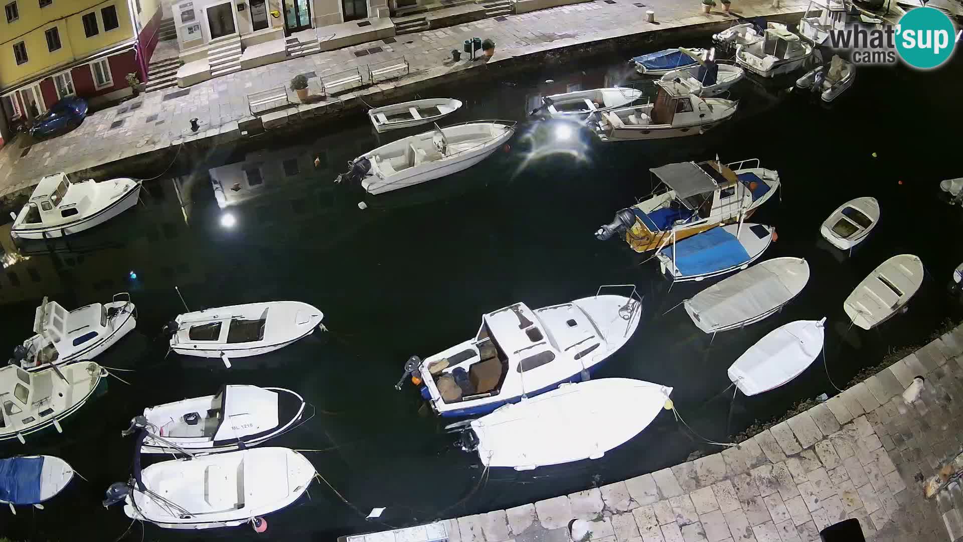 Veli Lošinj livecam – Carre