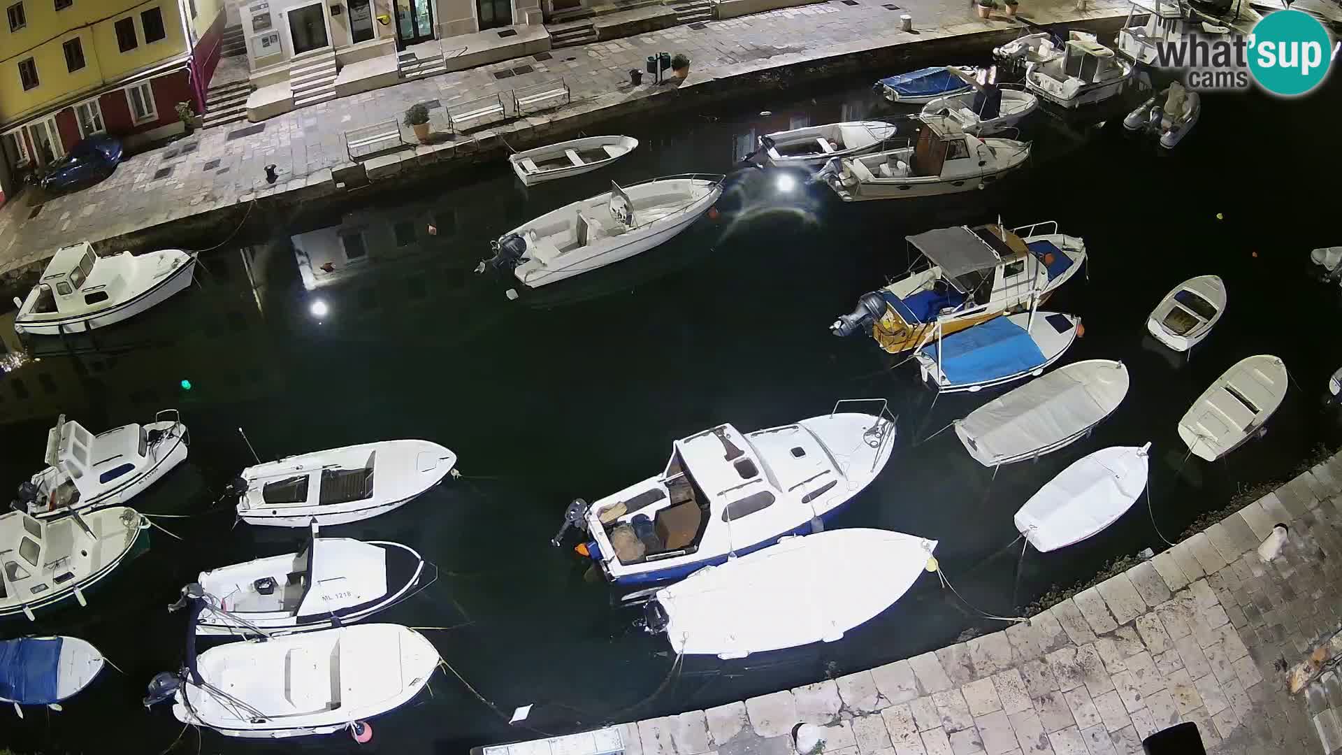 Veli Lošinj livecam – Carre