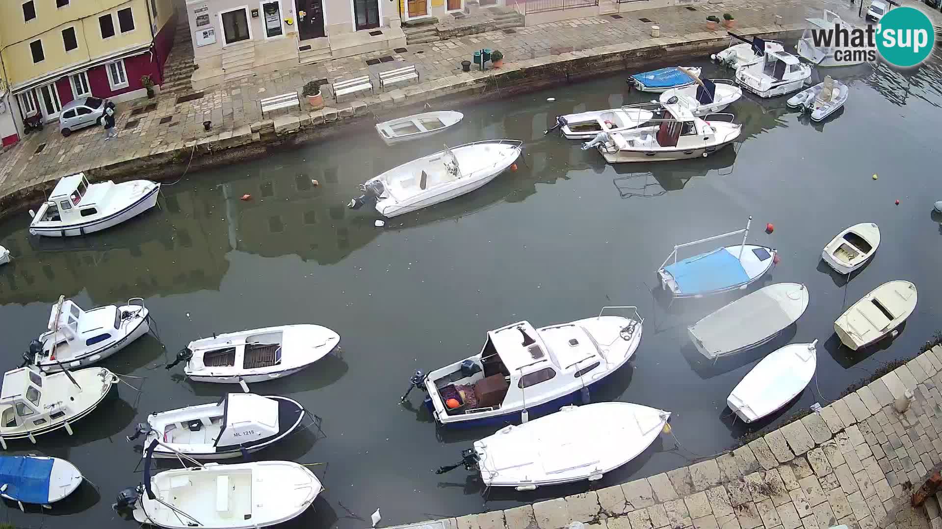 Veli Lošinj camera en vivo – plaza