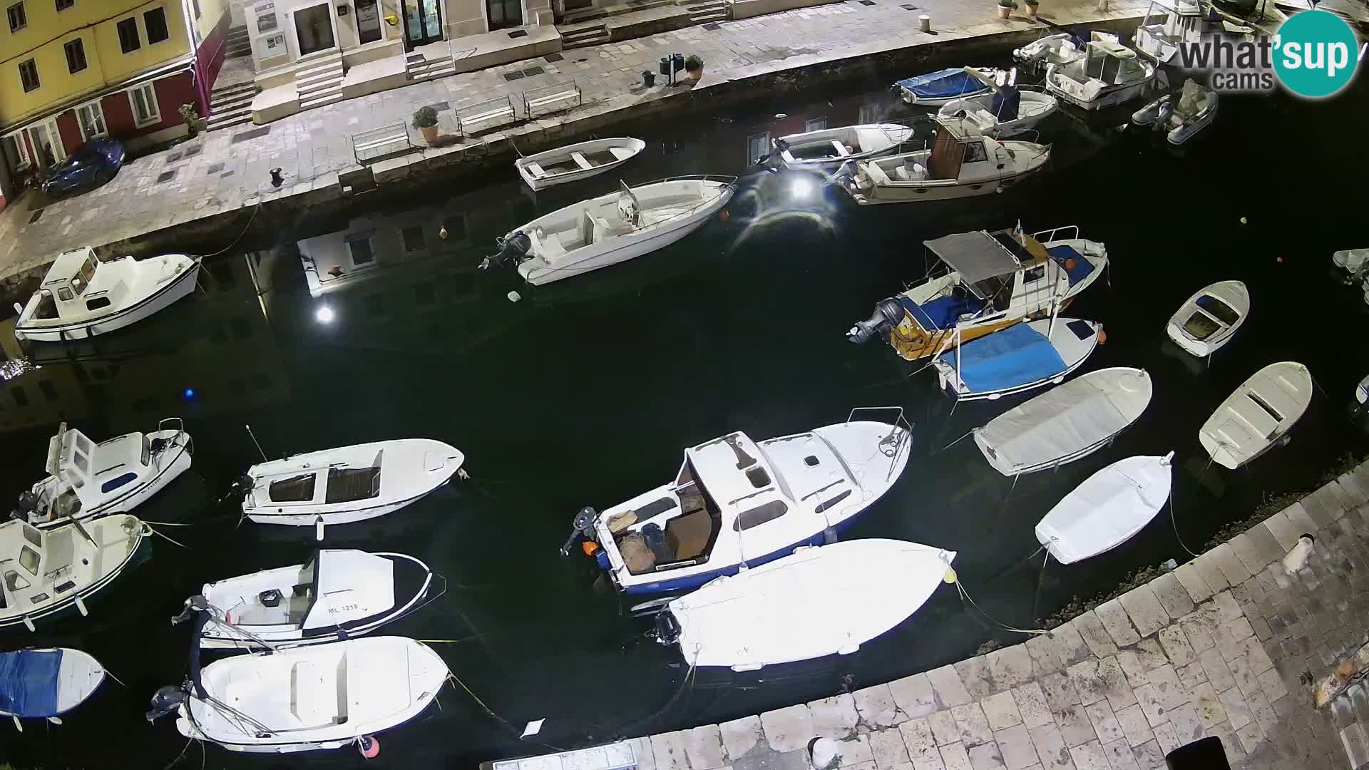 Veli Lošinj livecam – Carre