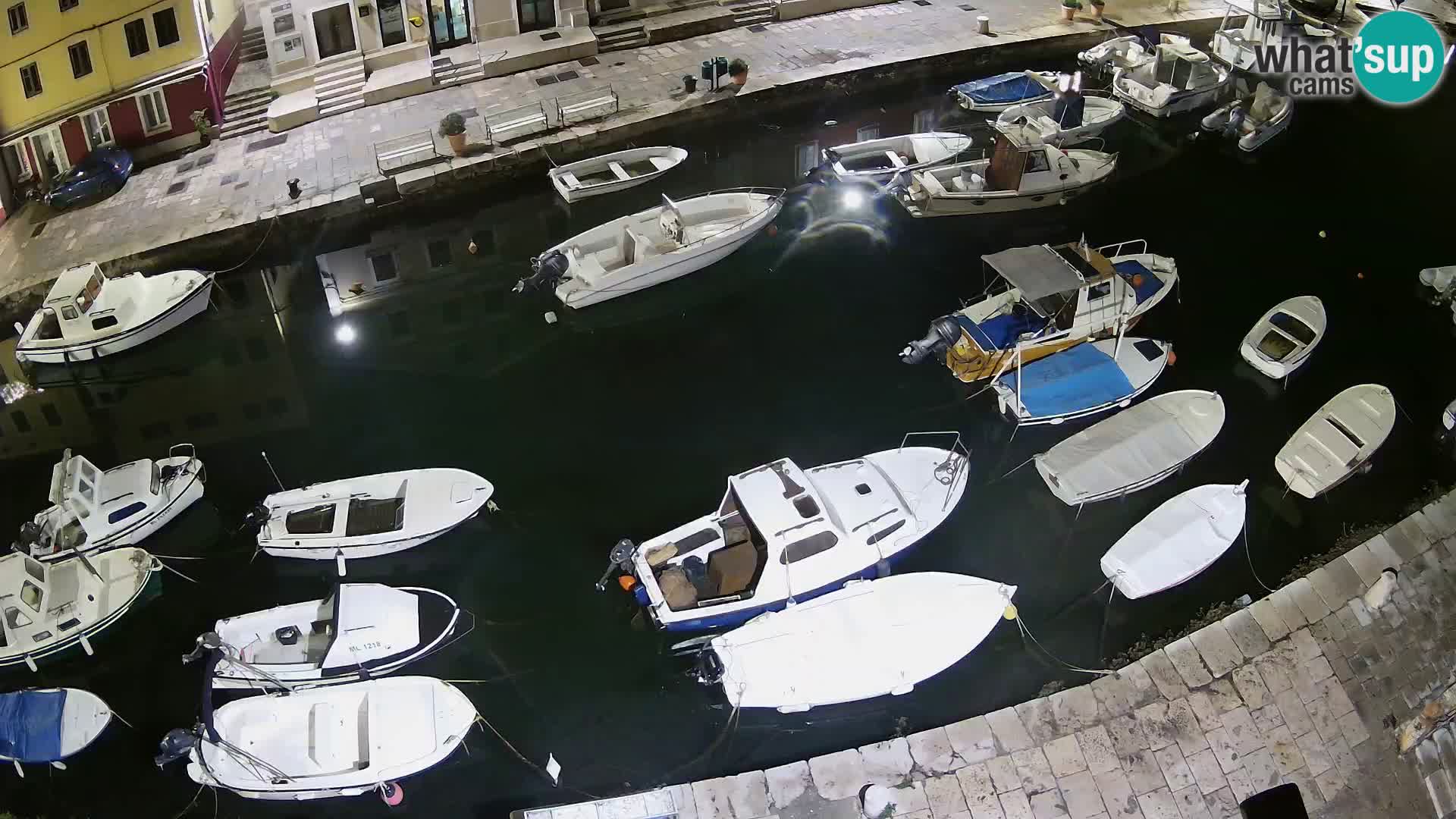 Veli Lošinj livecam – Carre