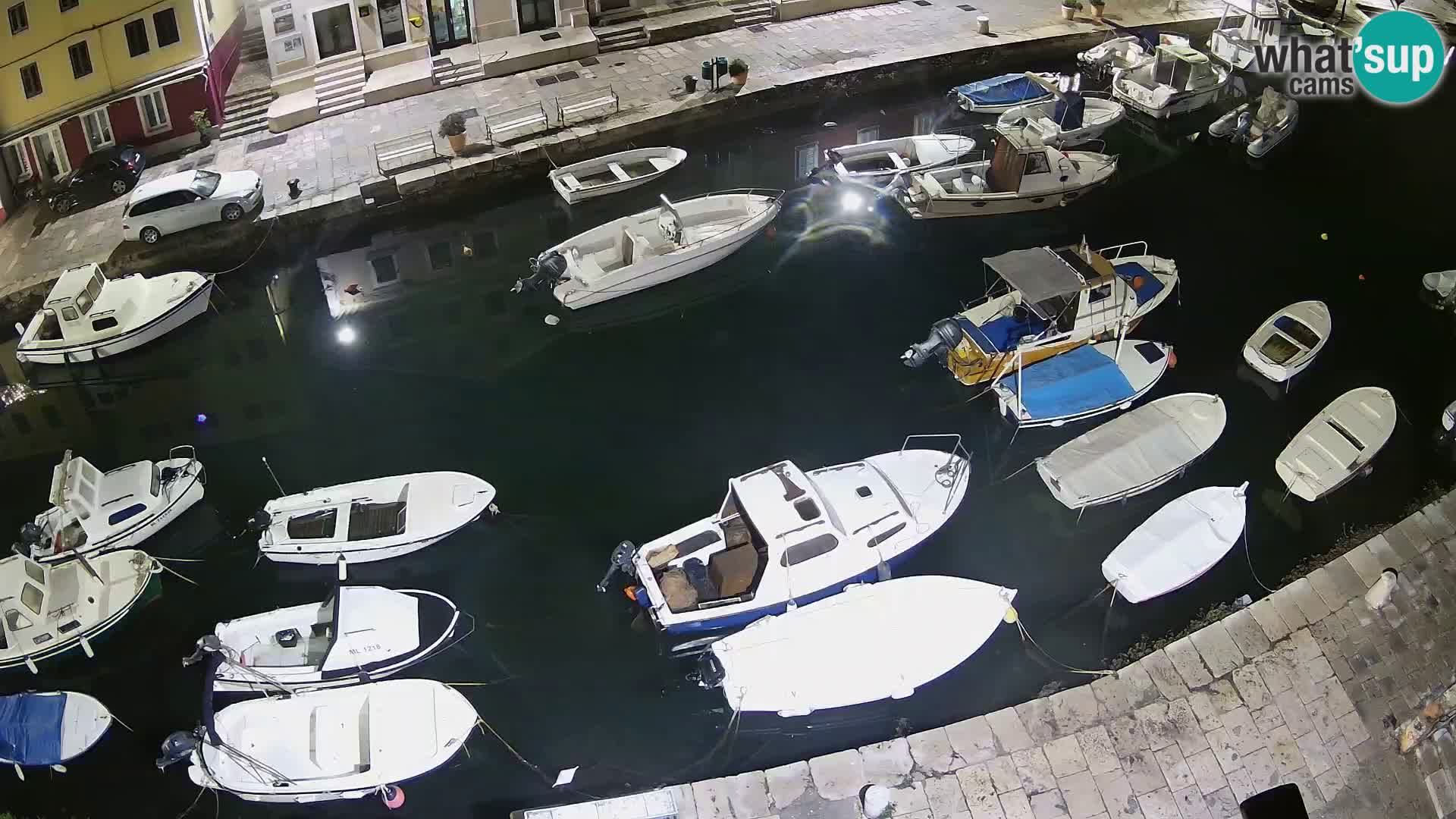 Veli Lošinj livecam – Carre