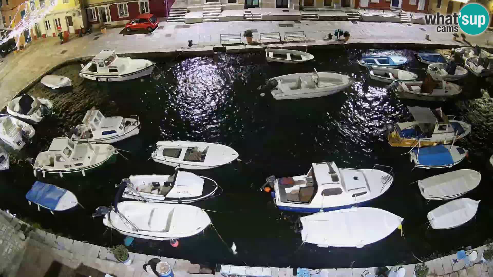 Veli Lošinj livecam – Carre