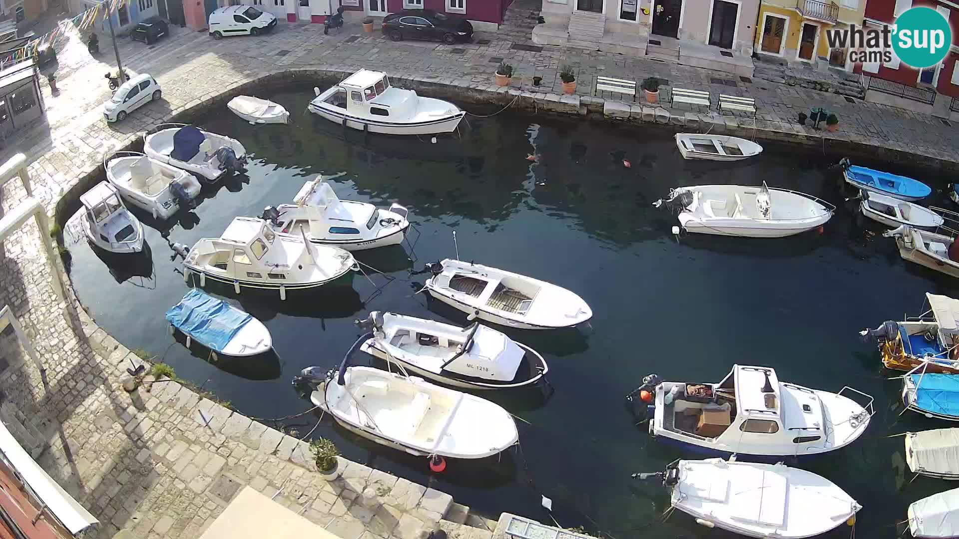 Veli Lošinj livecam – Carre