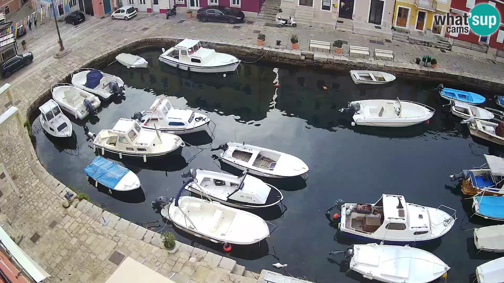 Veli Lošinj livecam – Carre
