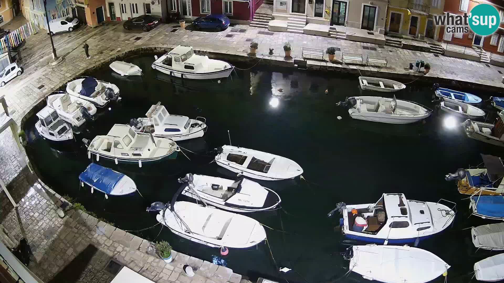 Veli Lošinj livecam – Carre
