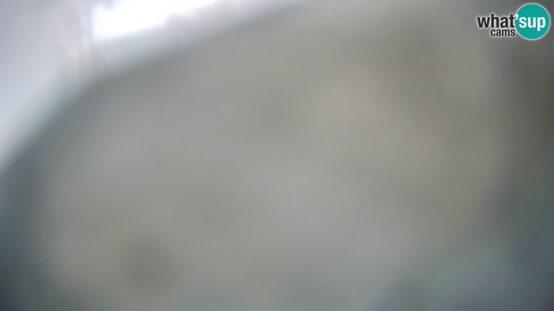 Veli Lošinj livecam – Carre