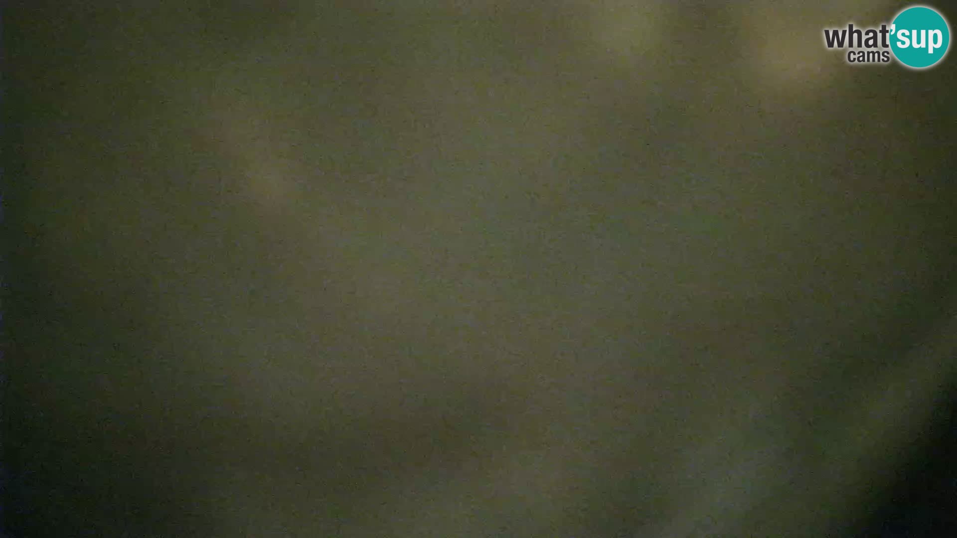 Veli Lošinj livecam – Carre