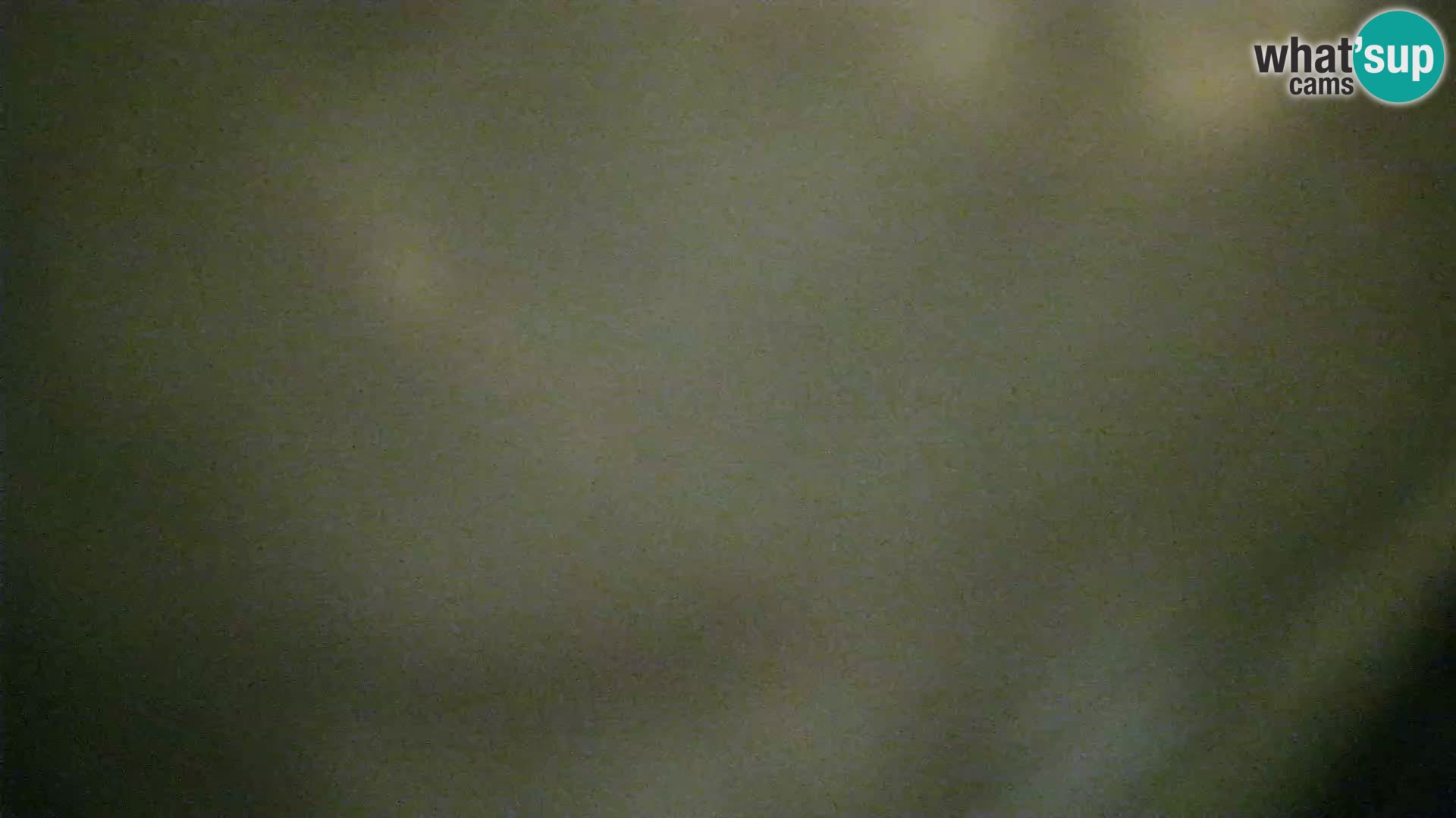 Veli Lošinj livecam – Carre