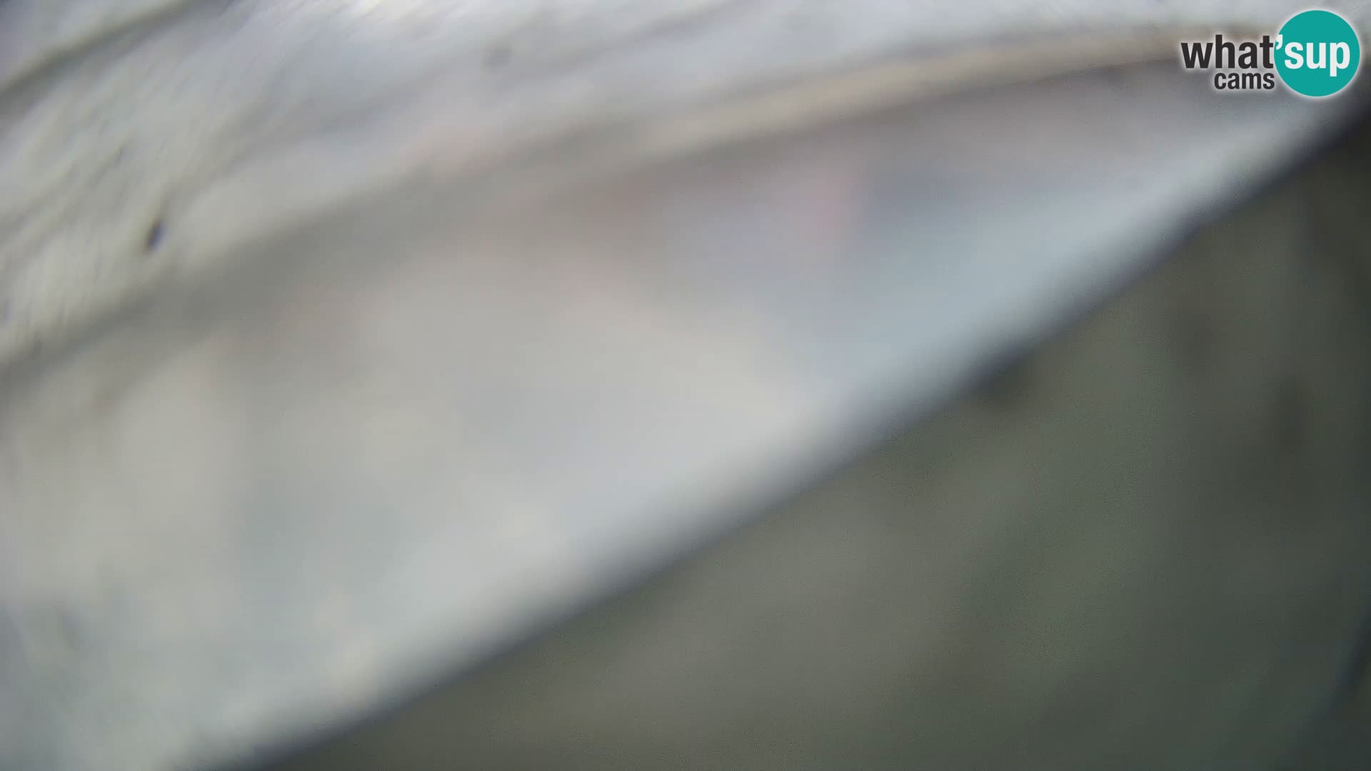 Veli Lošinj livecam – Carre