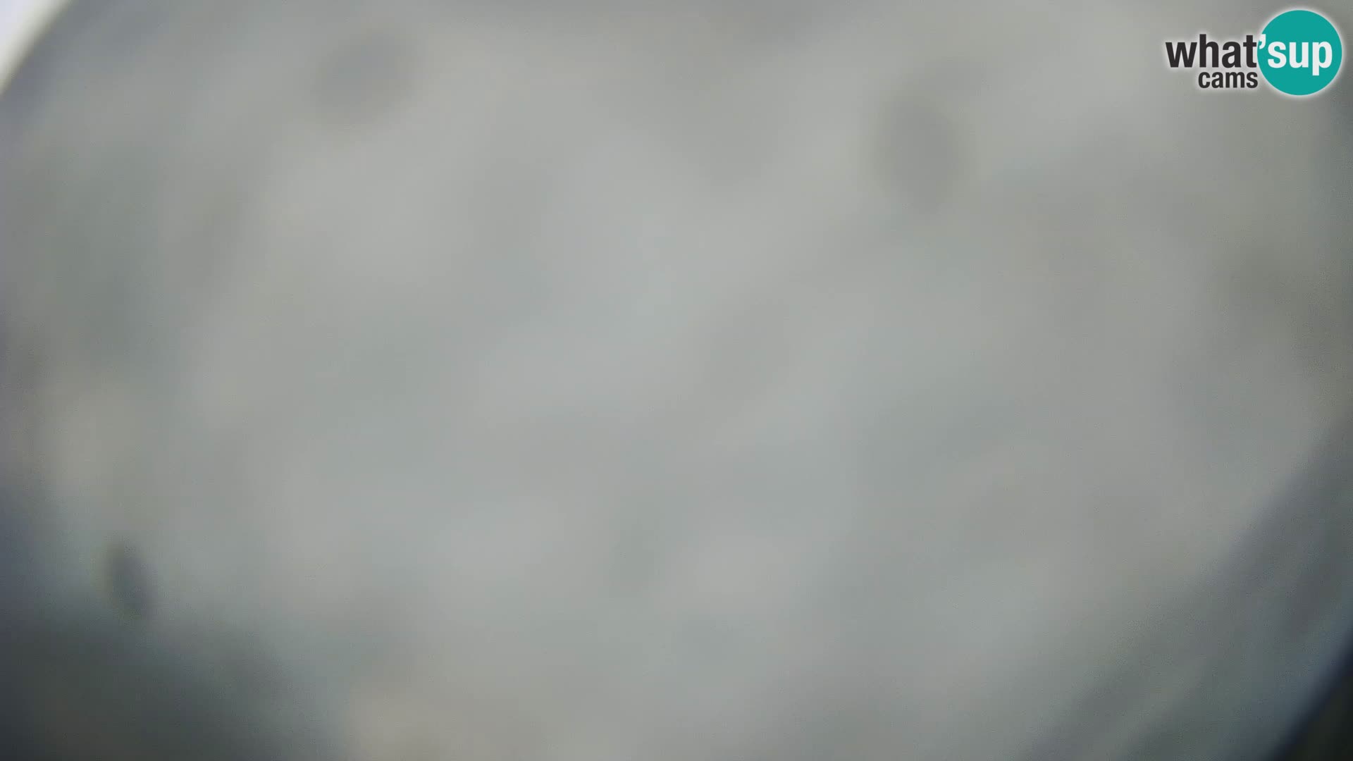 Veli Lošinj livecam – Carre