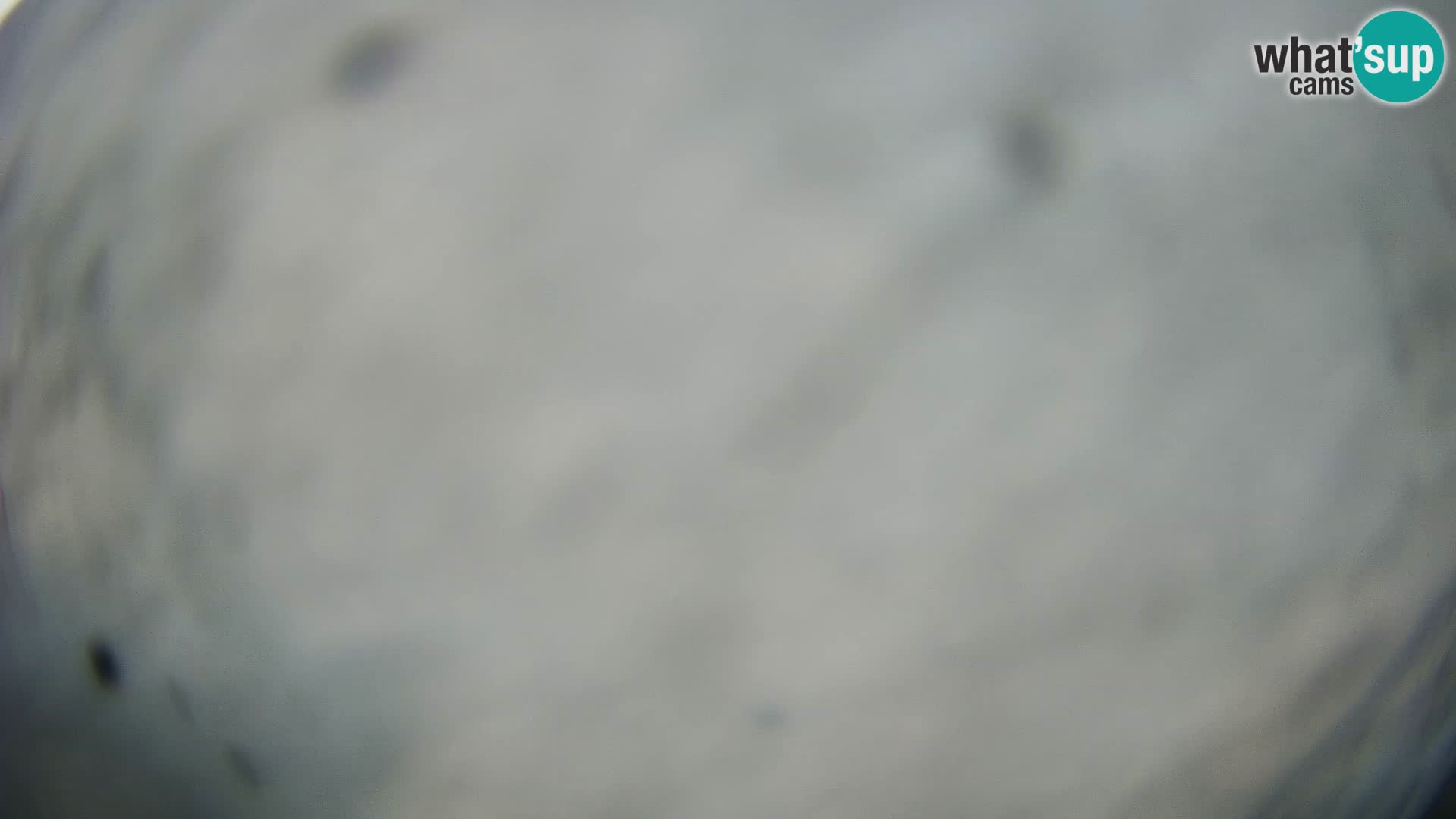 Veli Lošinj web kamera – trgič