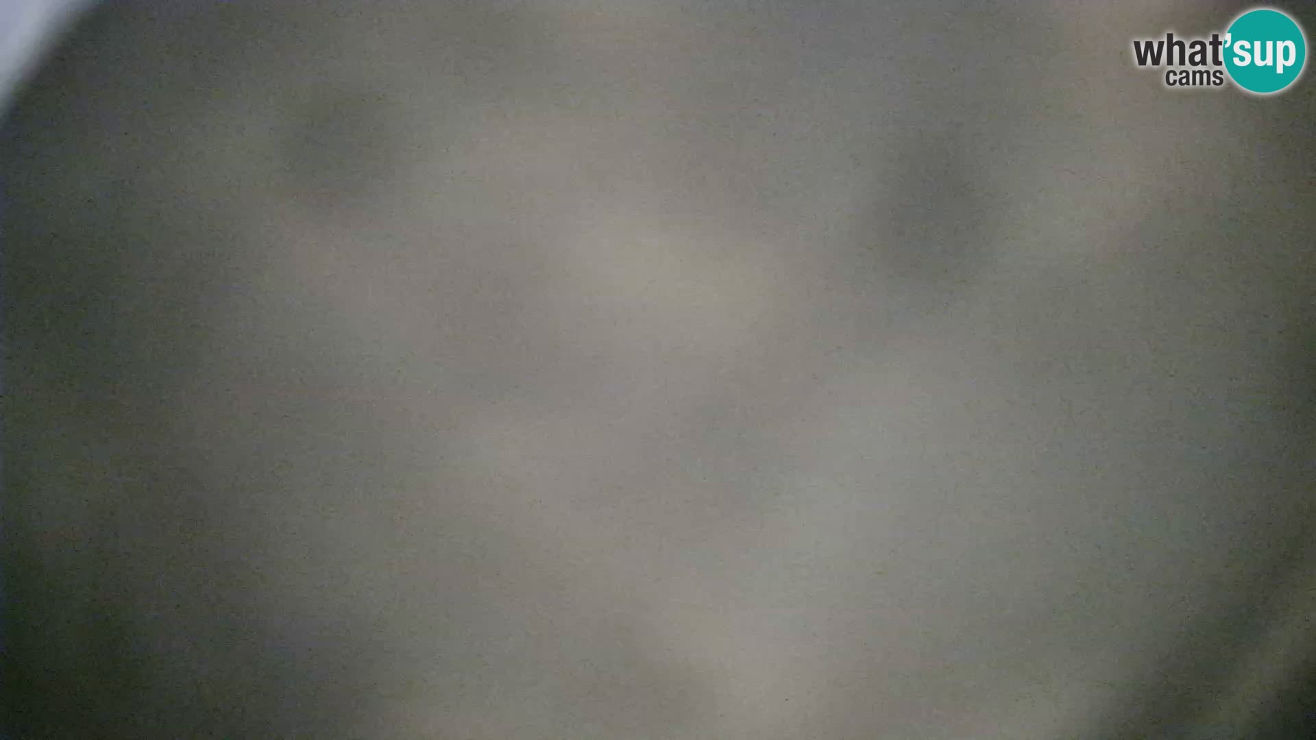 Veli Lošinj livecam – Carre