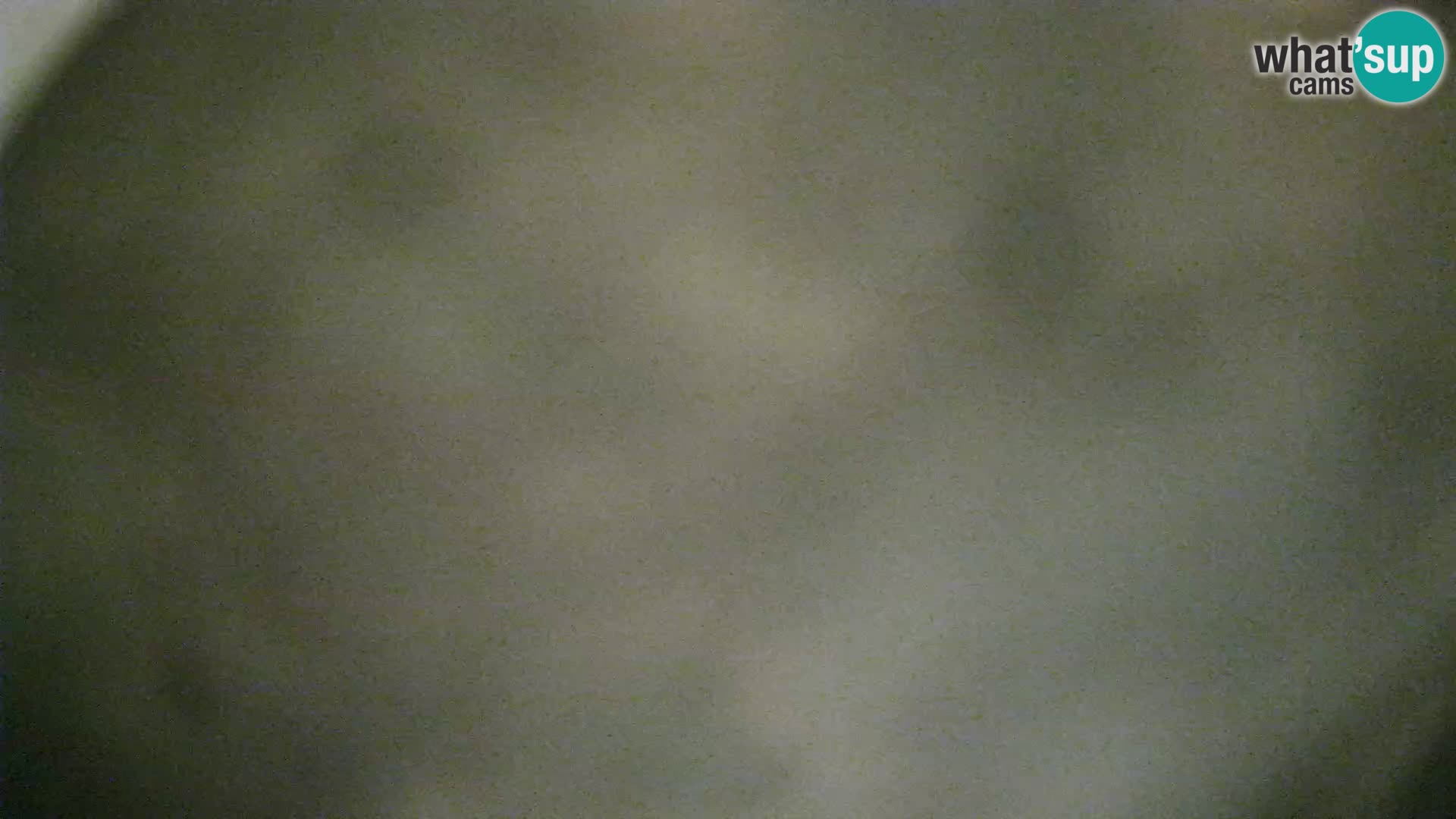 Veli Lošinj livecam – Carre