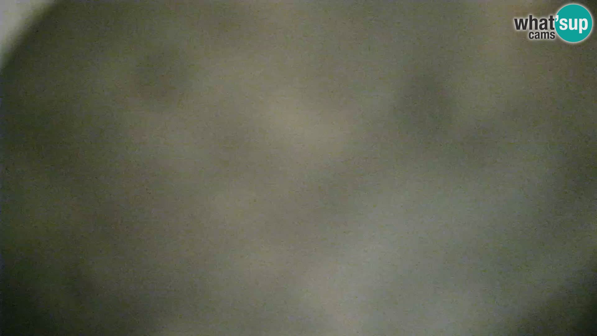 Veli Lošinj livecam – Carre