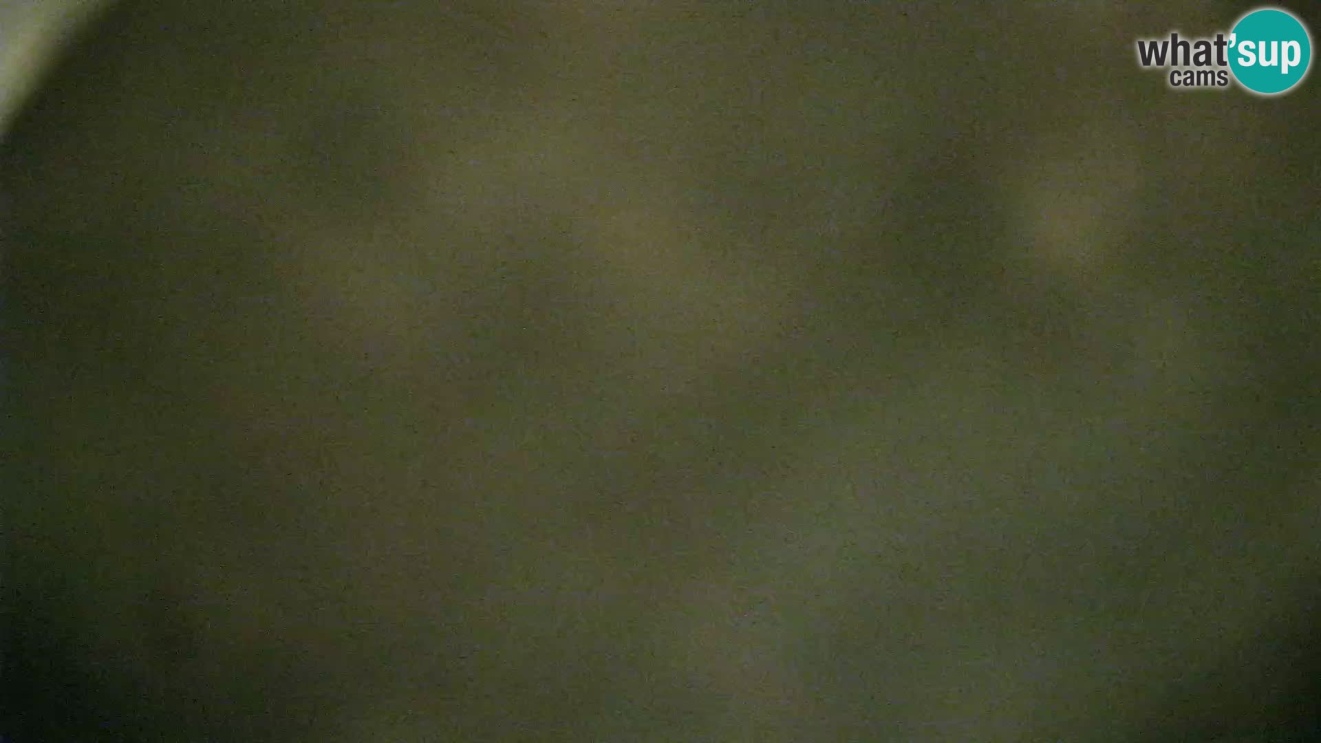 Veli Lošinj livecam – Carre