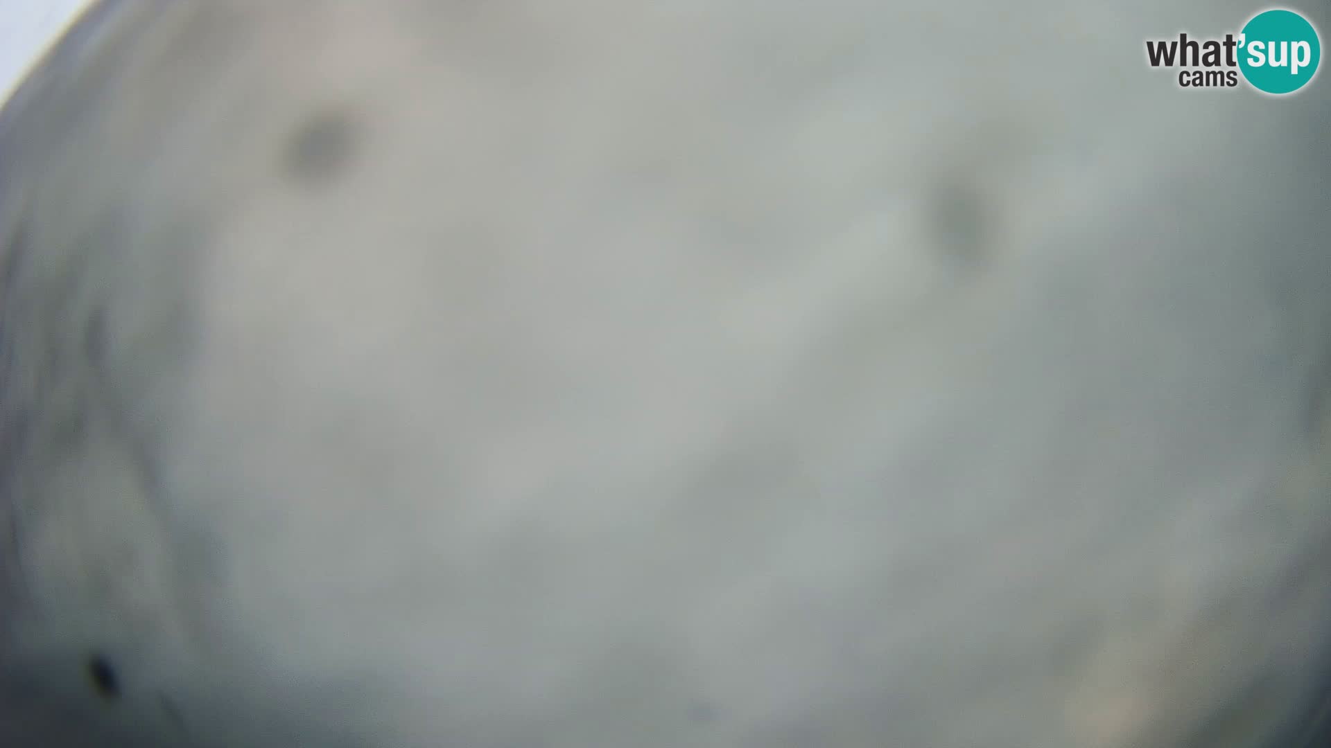 Veli Lošinj camera en vivo – plaza