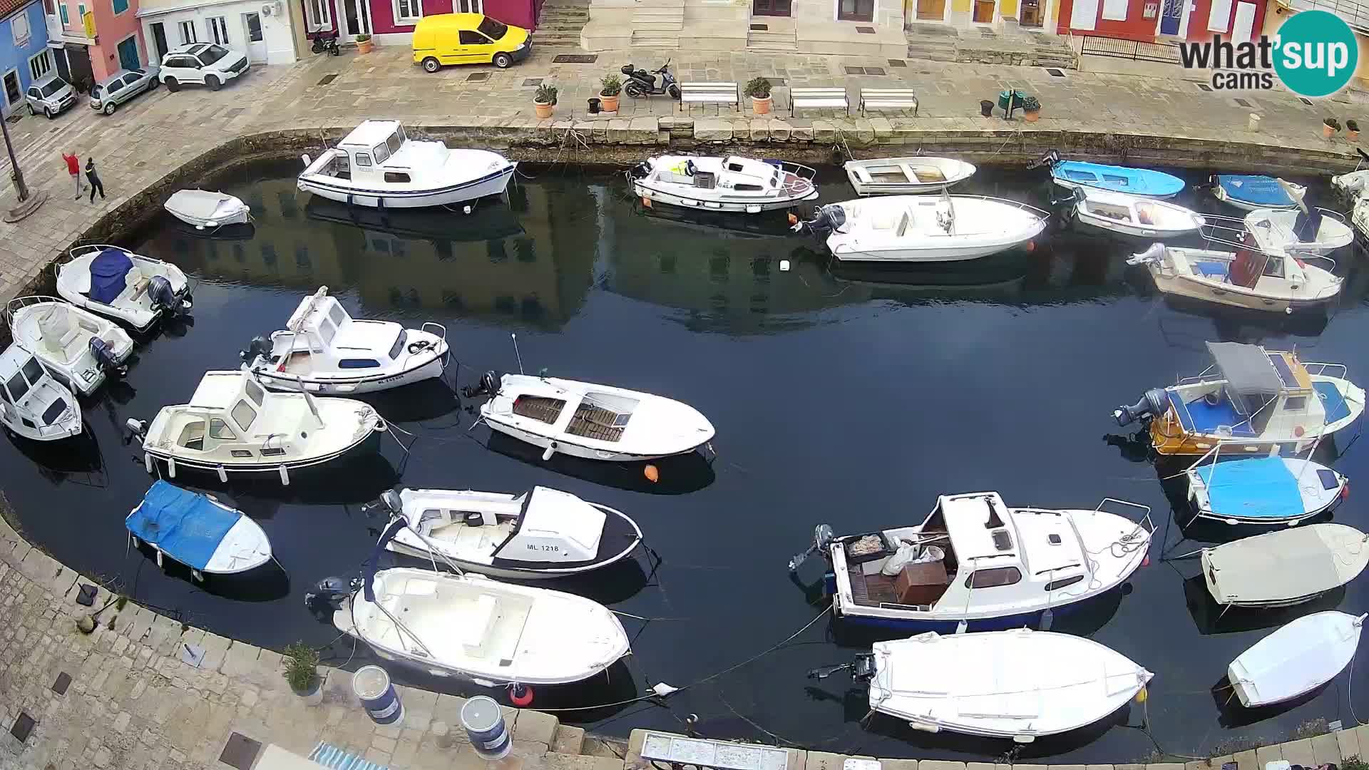 Veli Lošinj livecam – Carre