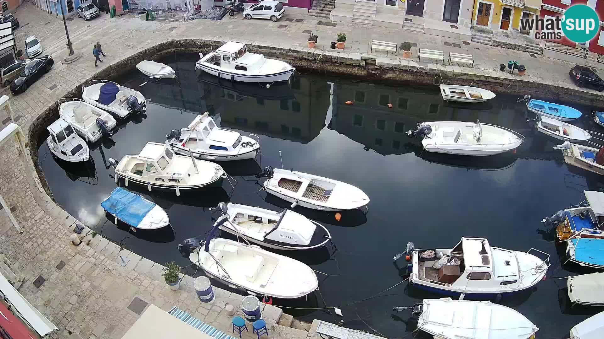 Veli Lošinj livecam – Carre