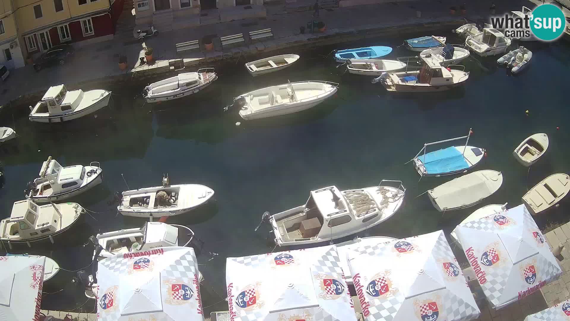 Veli Lošinj camera en vivo – plaza