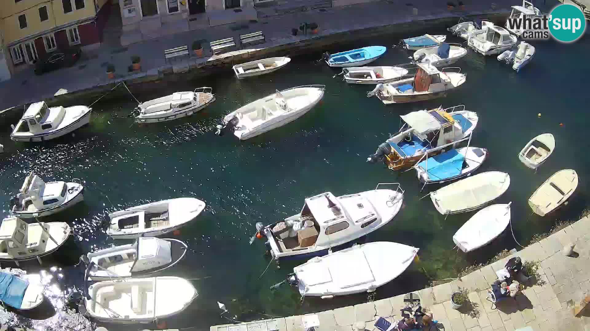 Veli Lošinj livecam – Carre