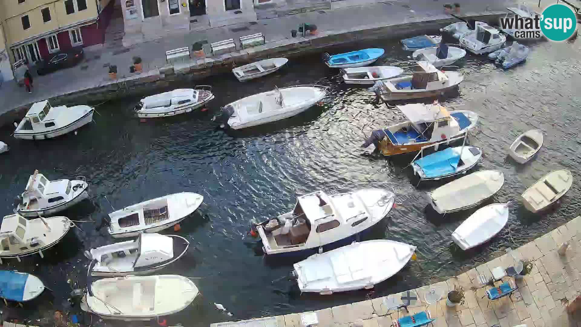 Veli Lošinj web kamera – trgič