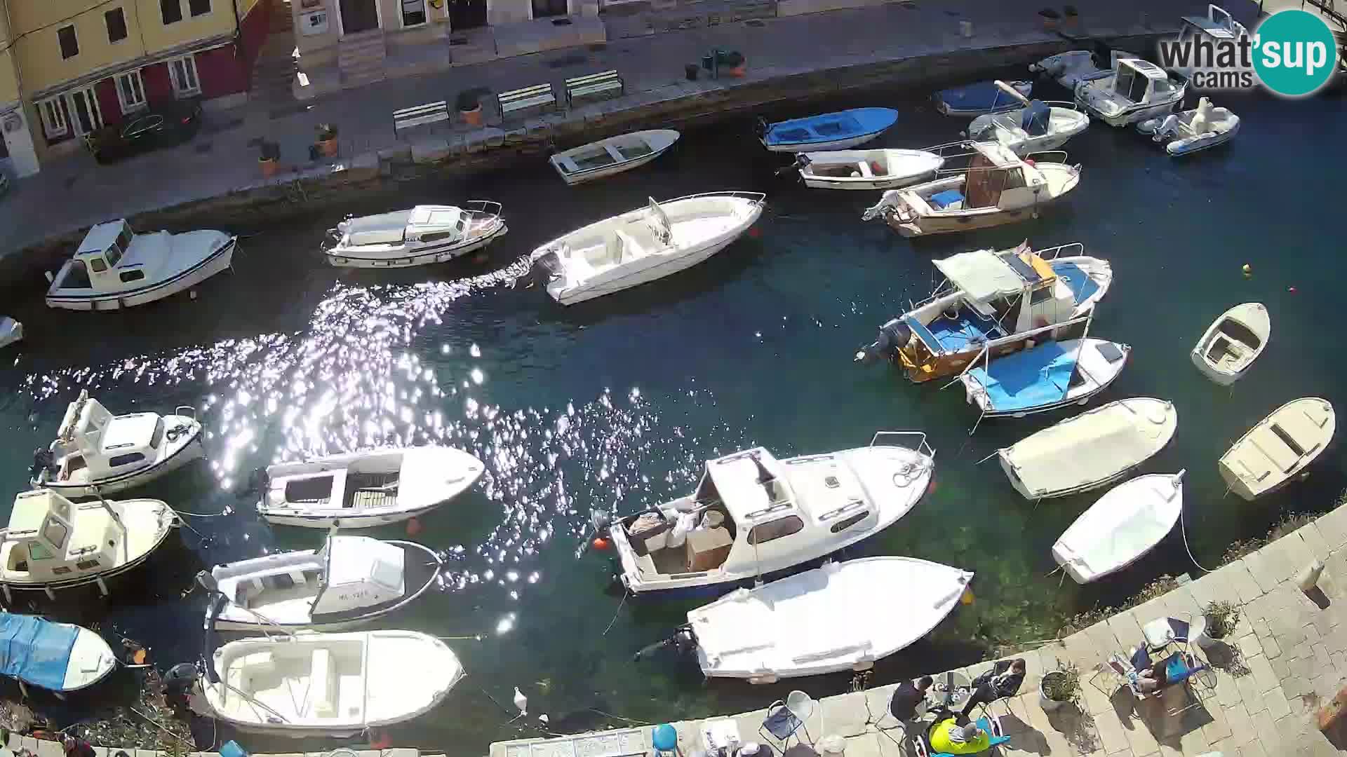 Veli Lošinj web kamera – trgič