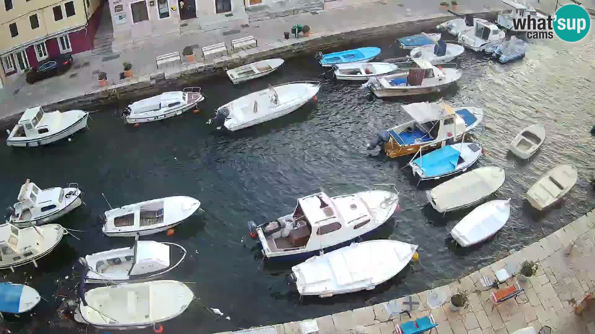 Veli Lošinj web kamera – trgič